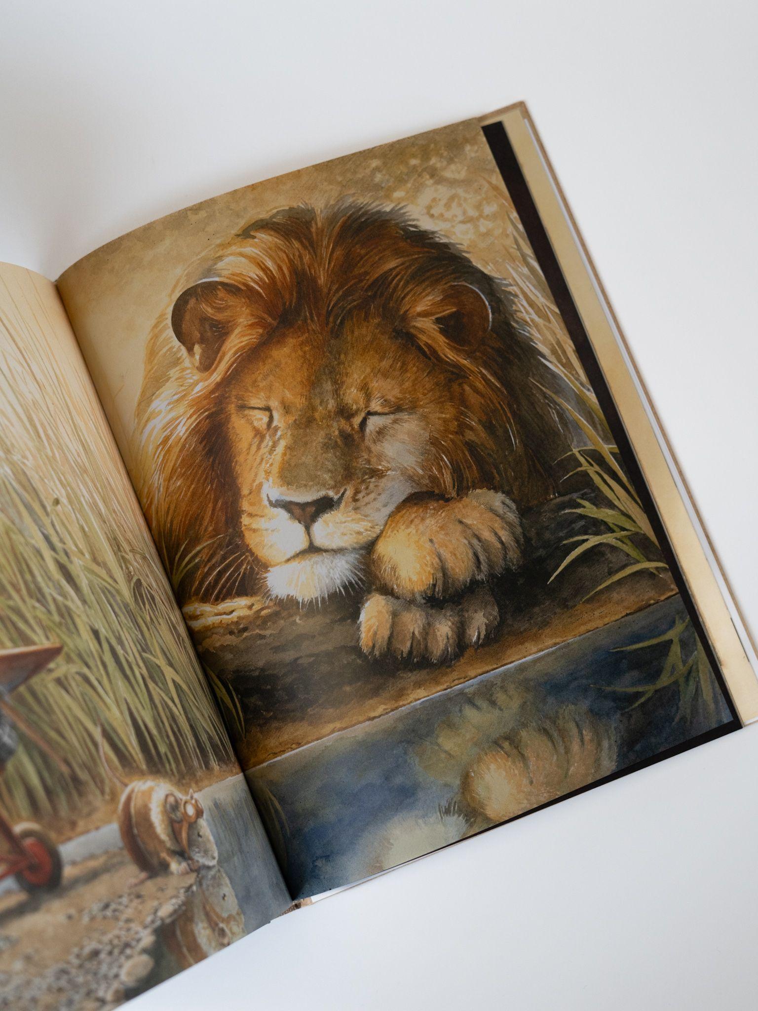 Beispielinhalt (Bild) Earhart