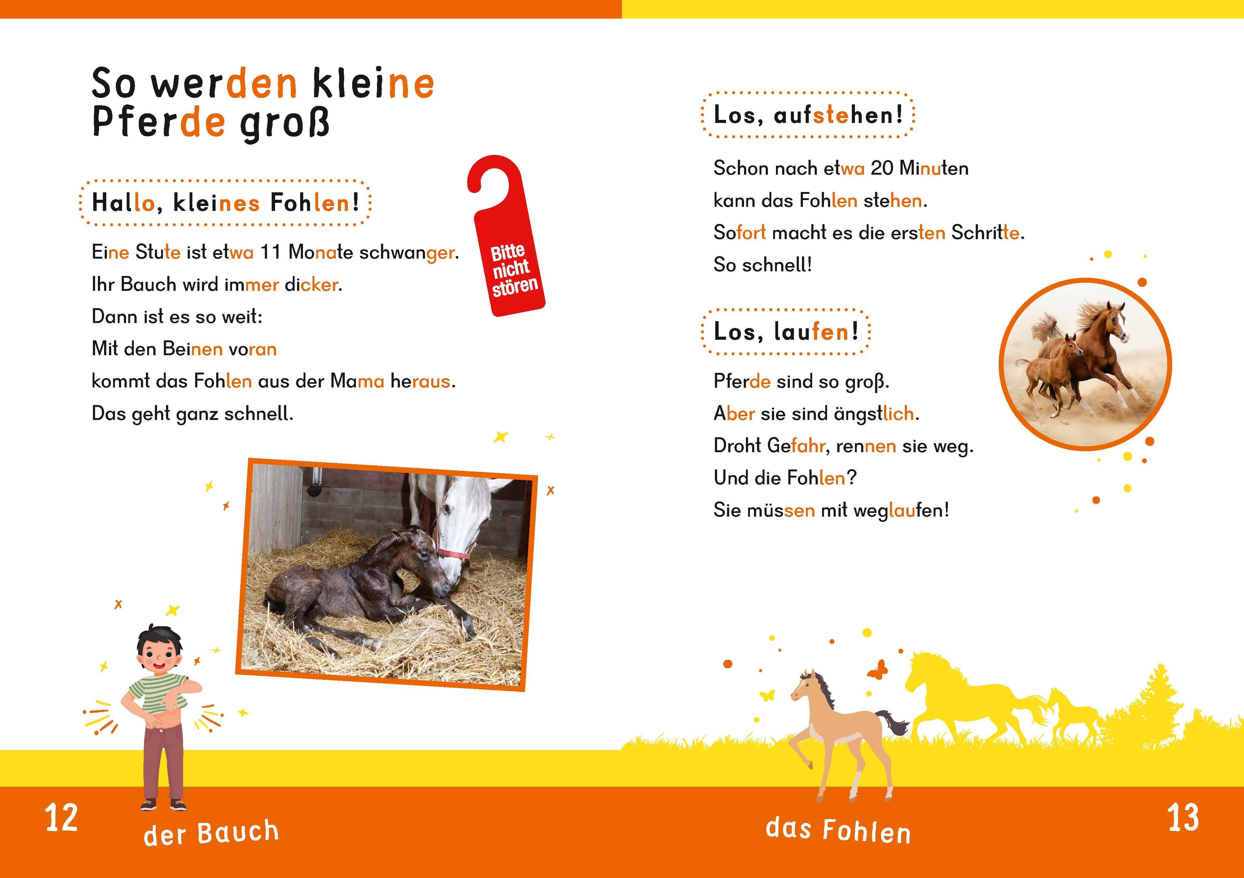 Beispielinhalt (Bild) Dein Lesestart: Weißt du schon alles über Pferde? Ab 1. Klasse