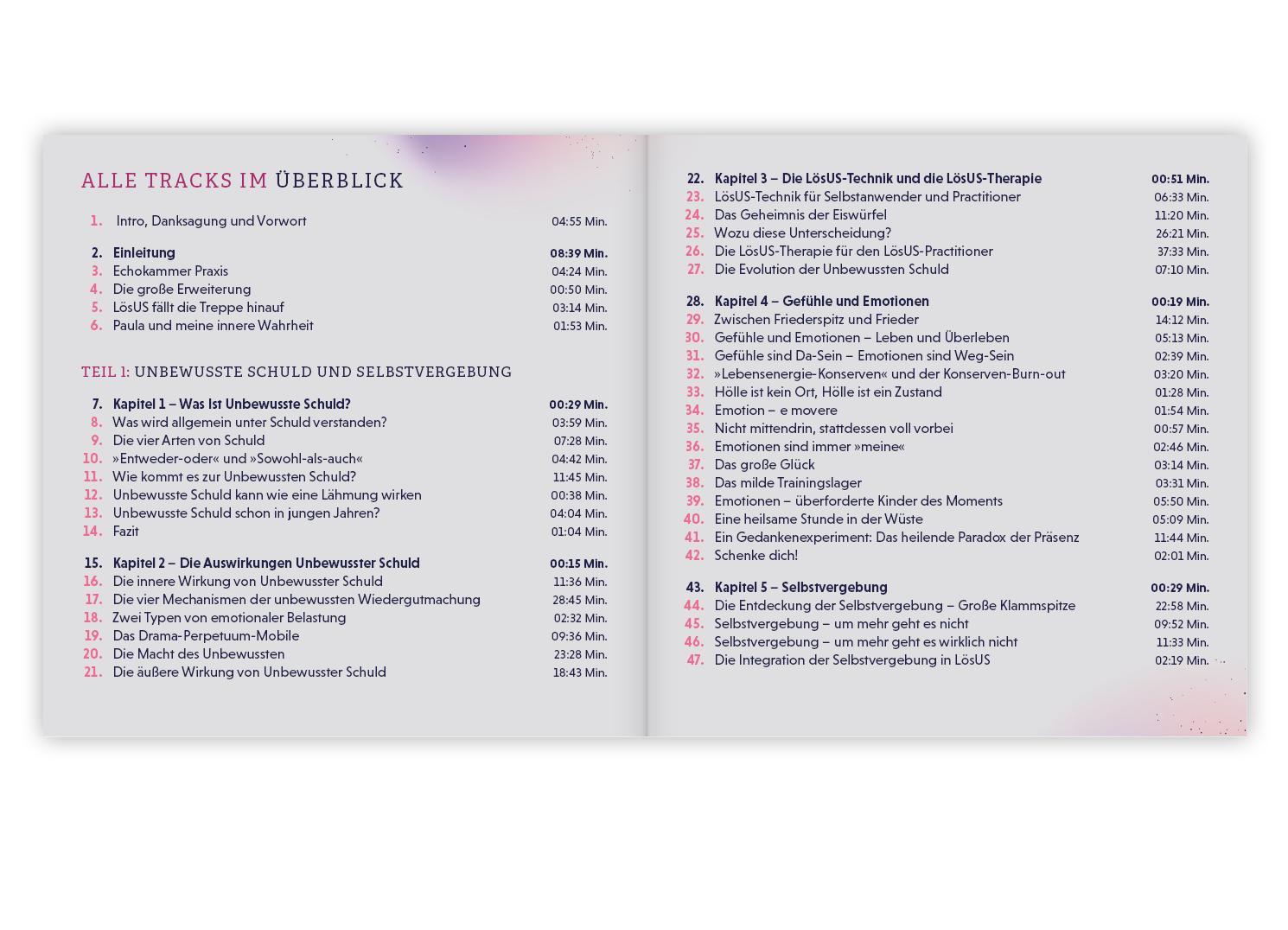 Beispielinhalt (Bild) Diese Schuld ist nicht meine (Hörbuch)