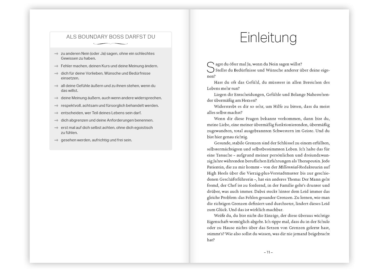 Beispielinhalt (Bild) Boundary Boss