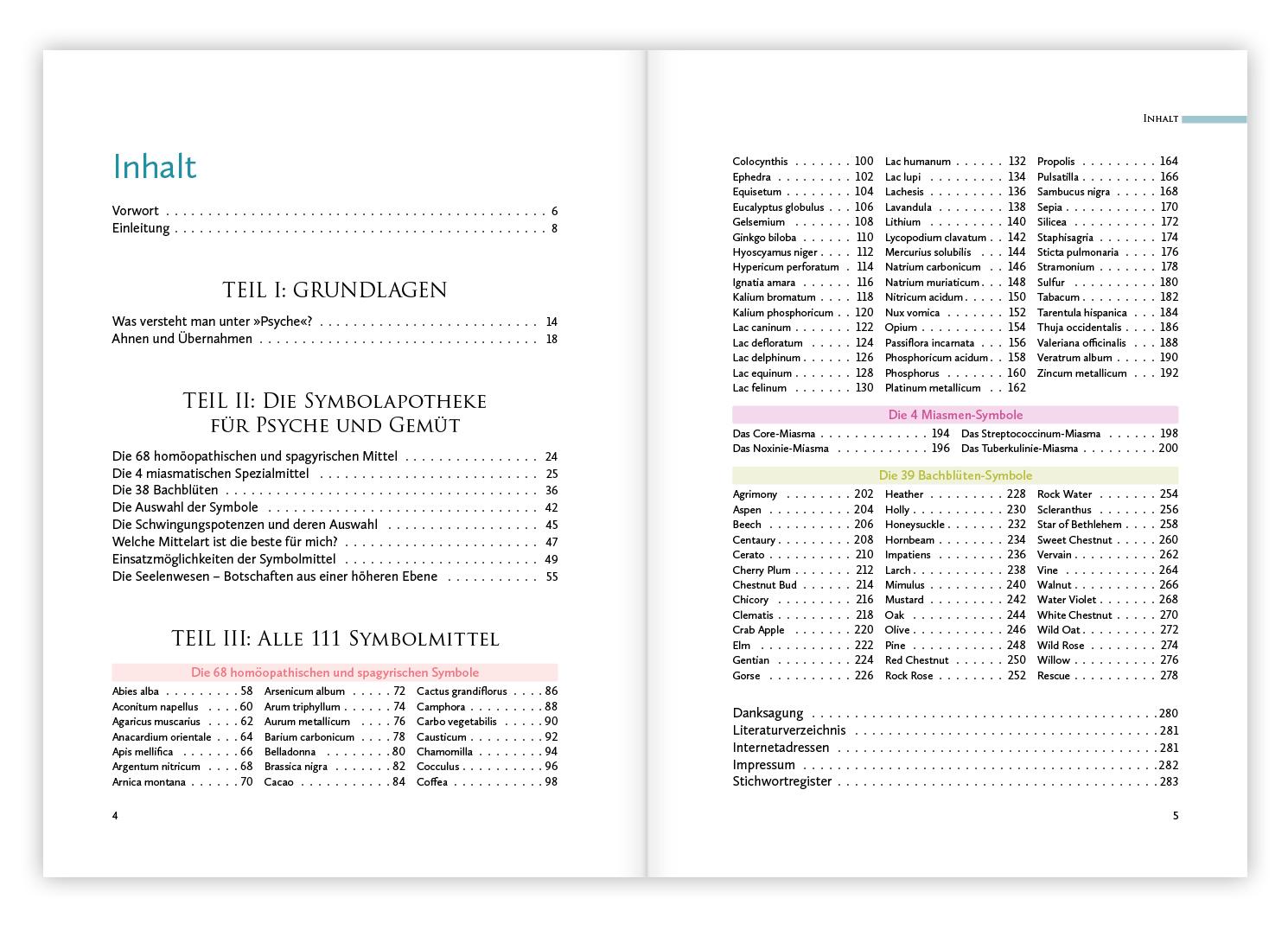 Beispielinhalt (Bild) Homöopathische Symbolapotheke - Psyche und Gemüt