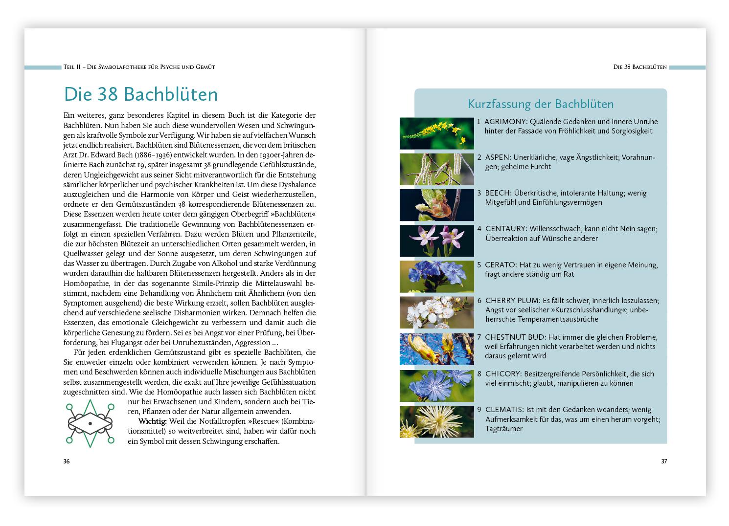 Beispielinhalt (Bild) Homöopathische Symbolapotheke - Psyche und Gemüt
