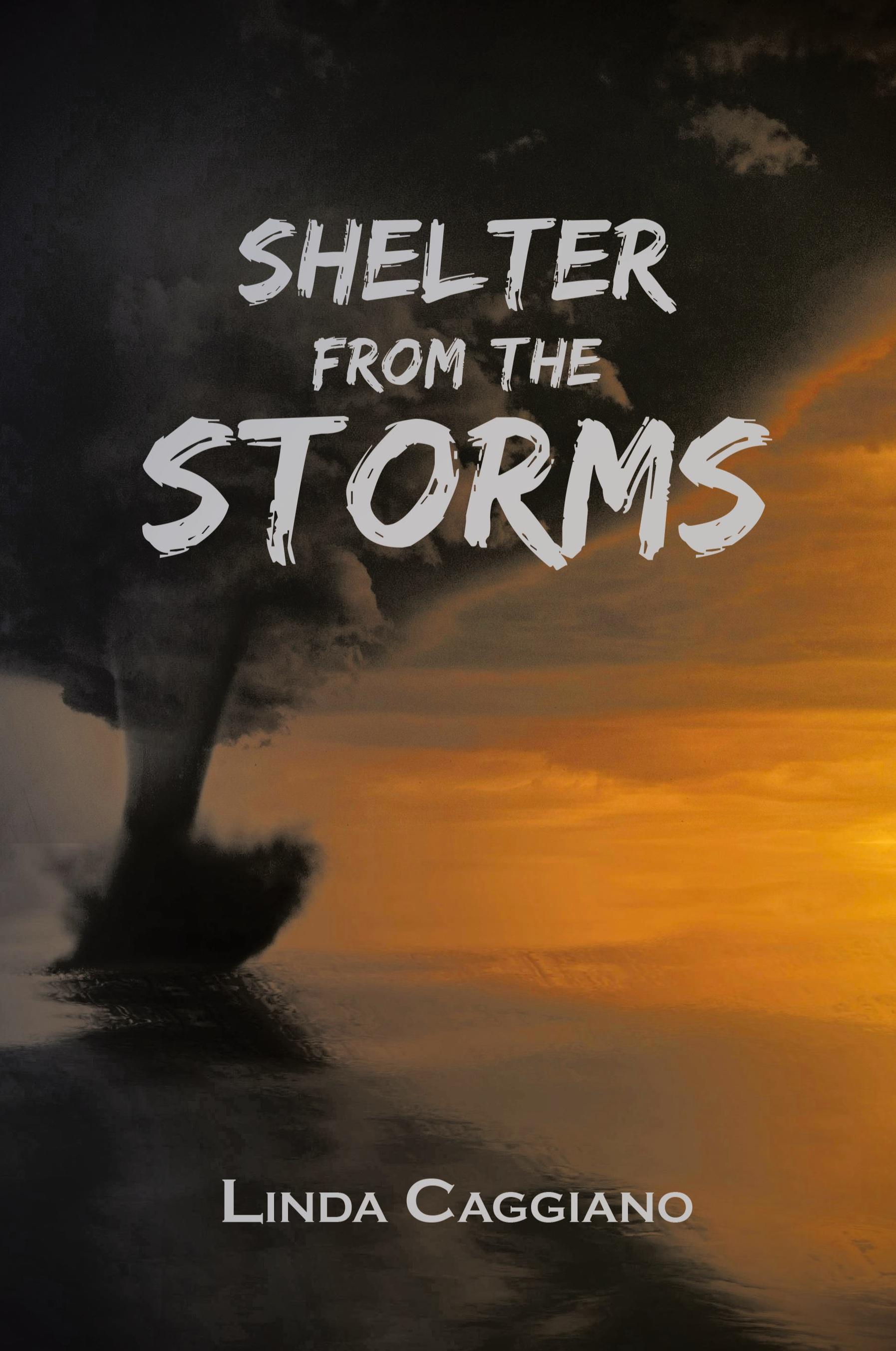 Vorderes Coverbild Shelter from the Storms