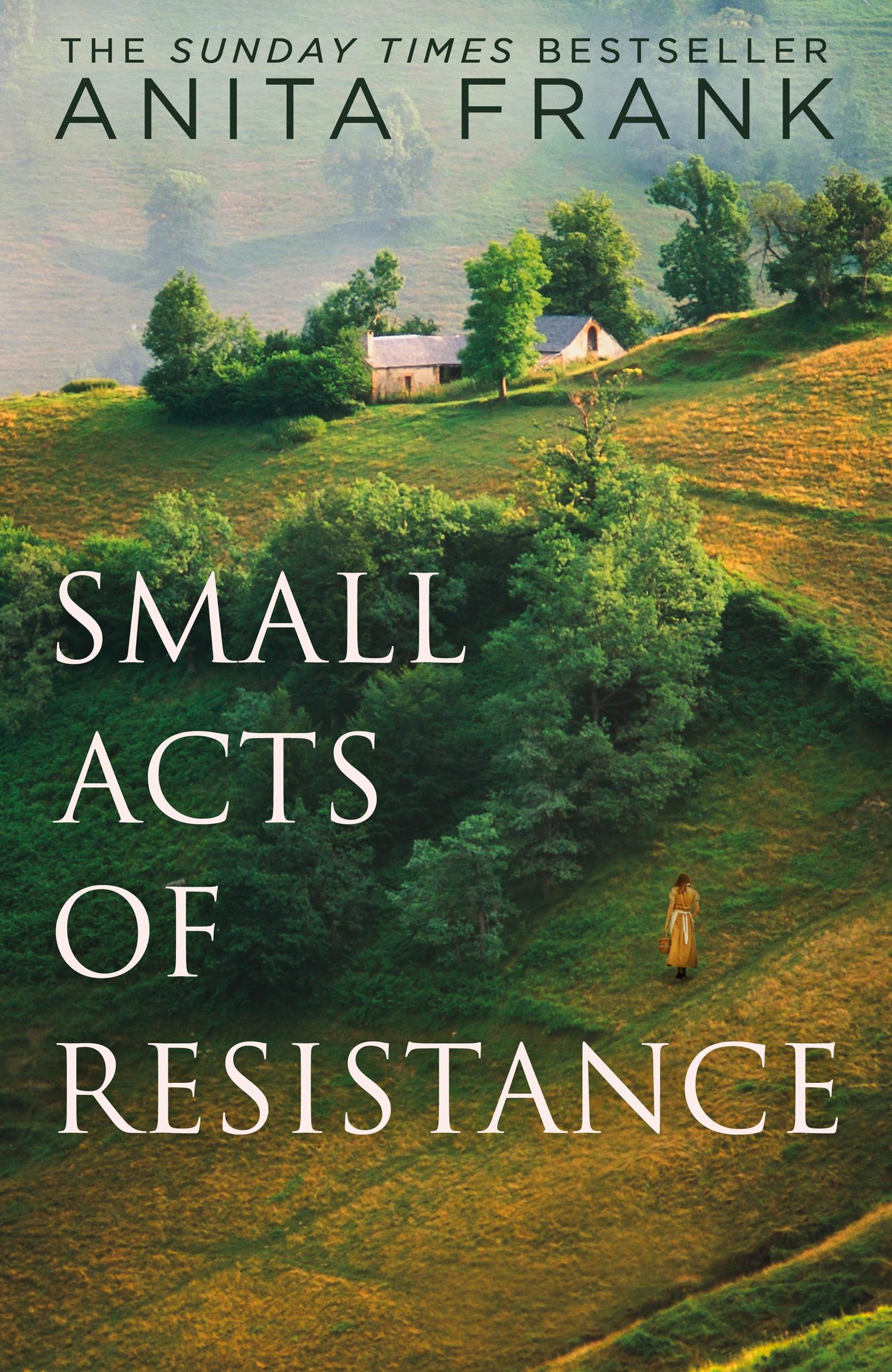 Vorderes Coverbild Small Acts of Resistance