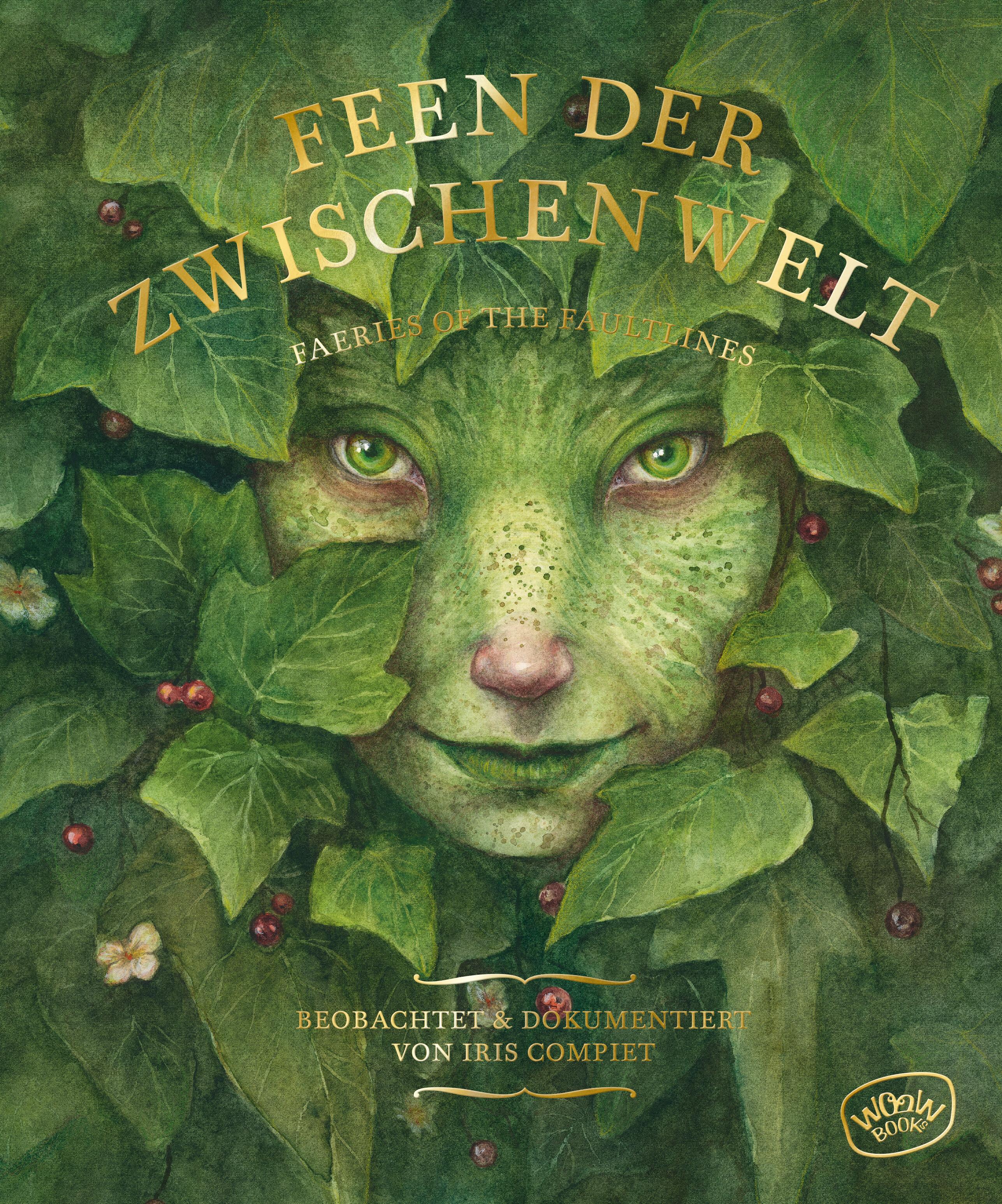 Vorderes Coverbild Feen der Zwischenwelt