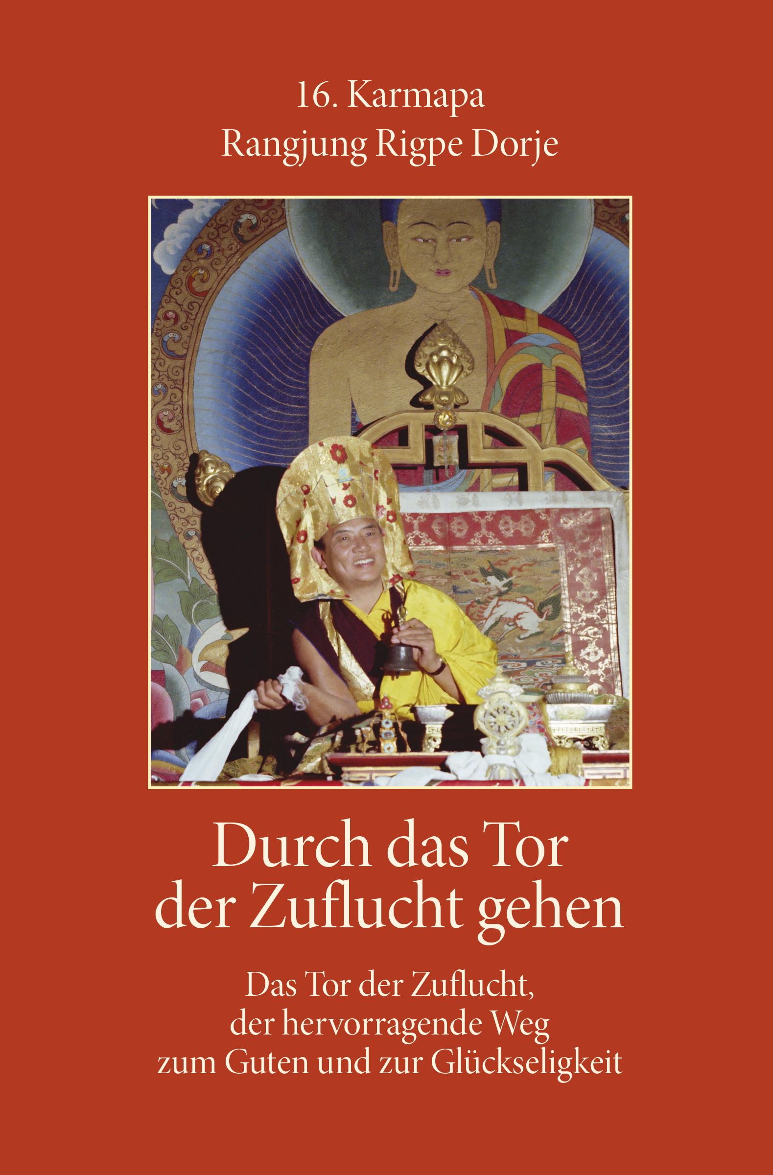 Vorderes Coverbild Durch das Tor der Zuflucht gehen