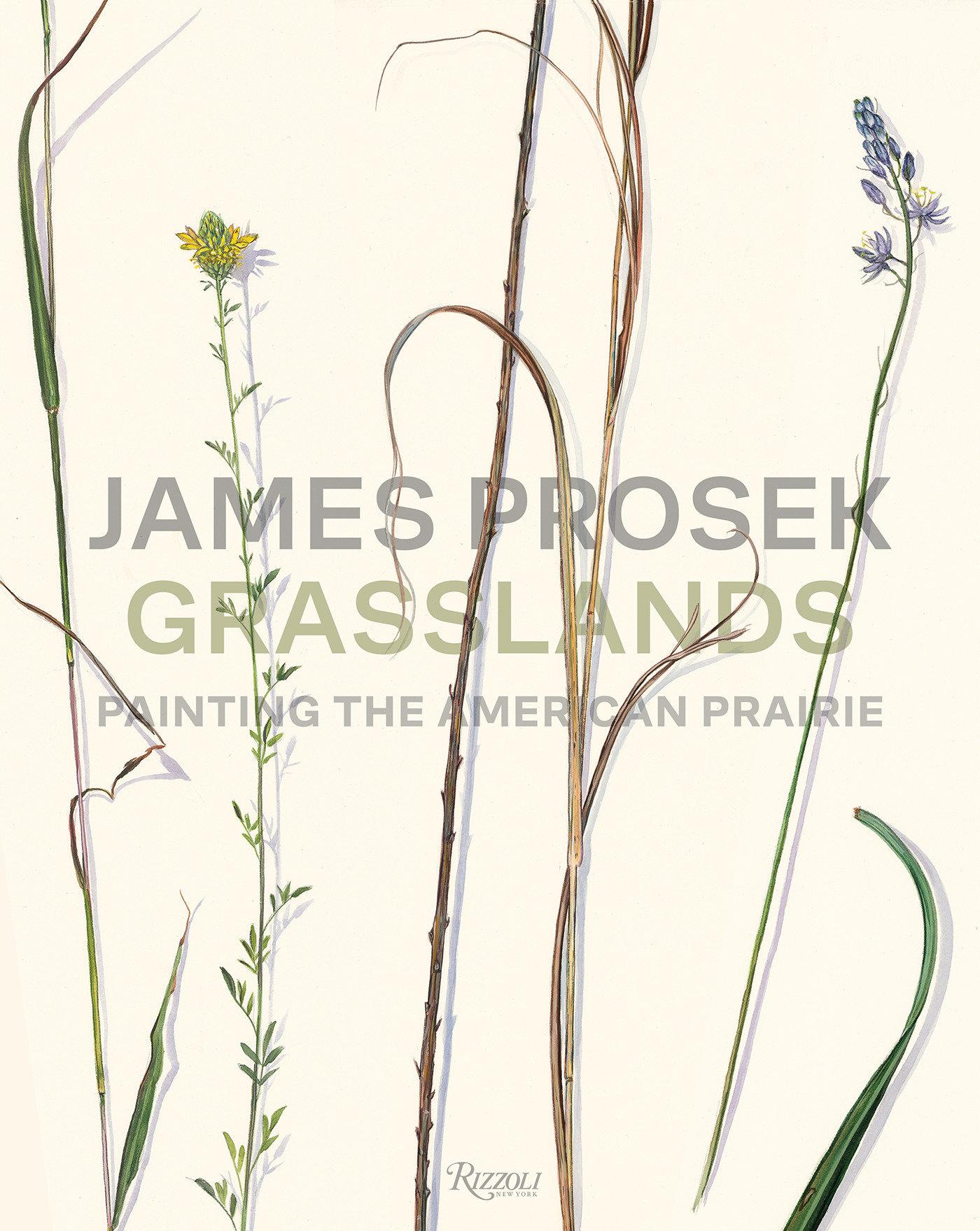 Vorderes Coverbild James Prosek Grasslands