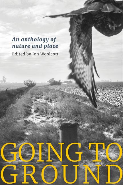 Vorderes Coverbild Going to Ground