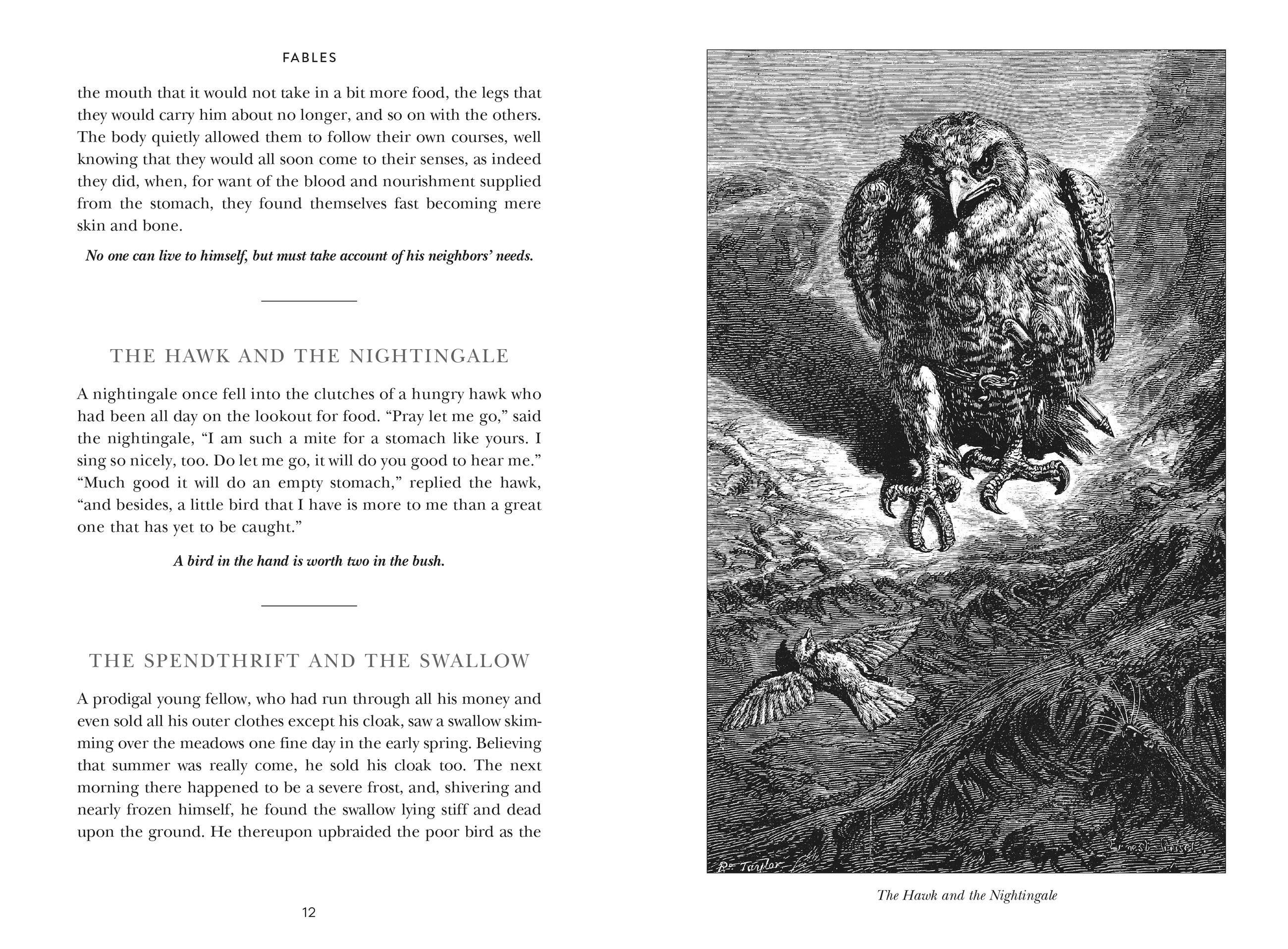 Beispielinhalt (Bild) Aesop's Fables (Special Edition)