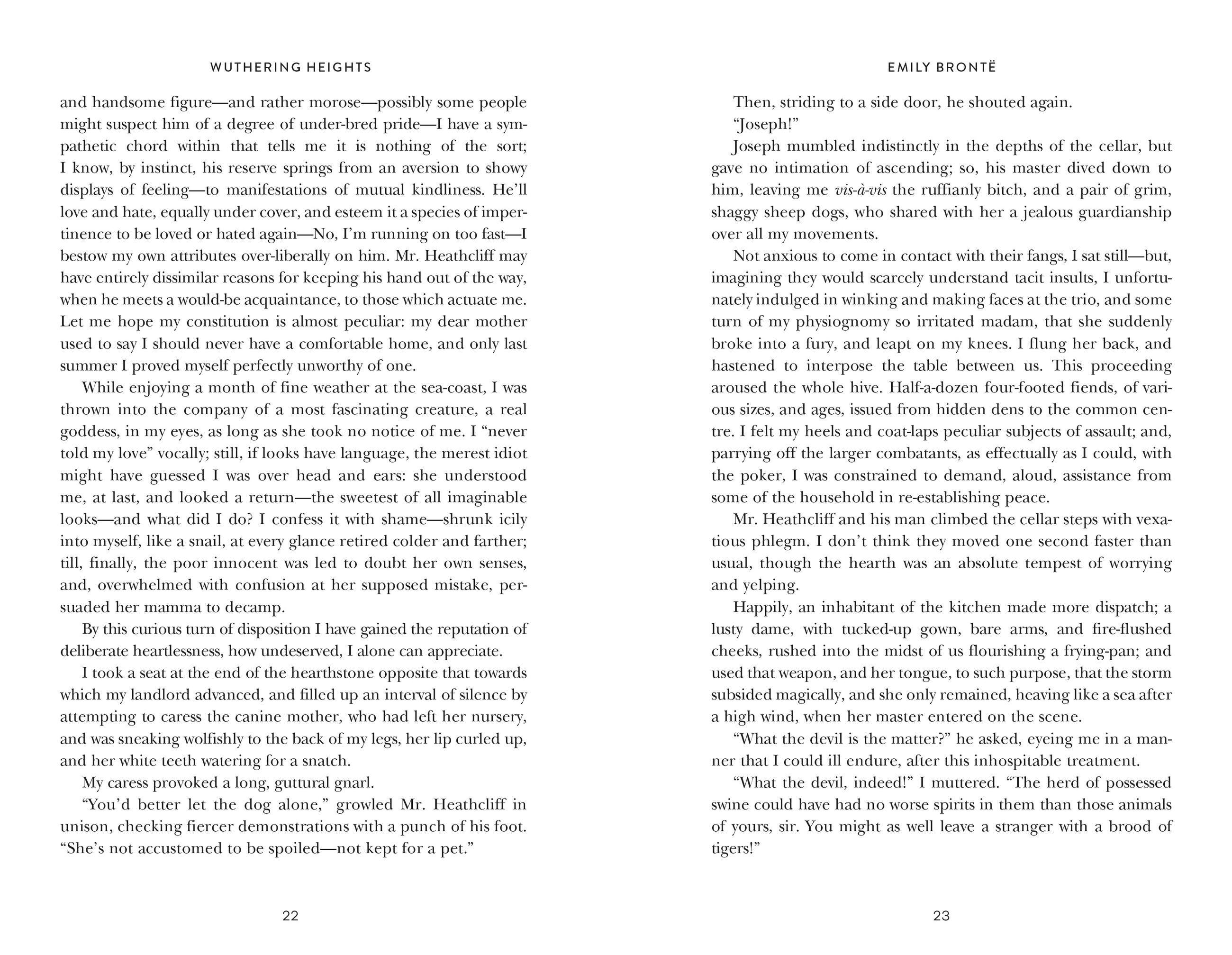 Beispielinhalt (Bild) Wuthering Heights