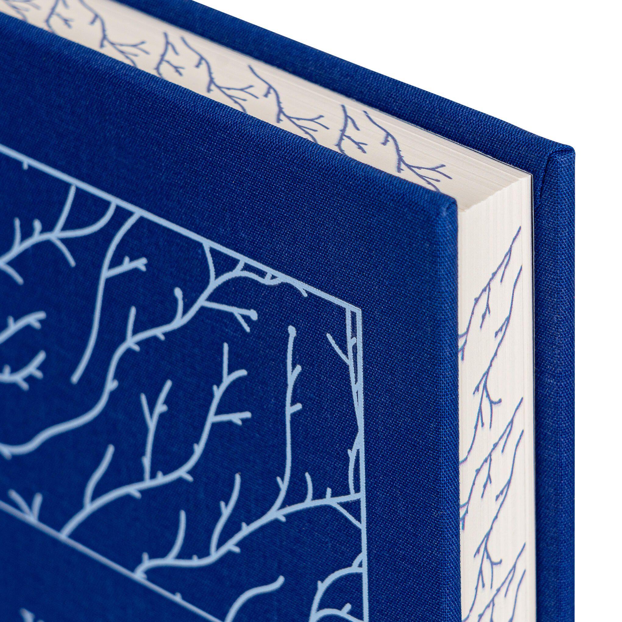 Beispielinhalt (Bild) Wuthering Heights