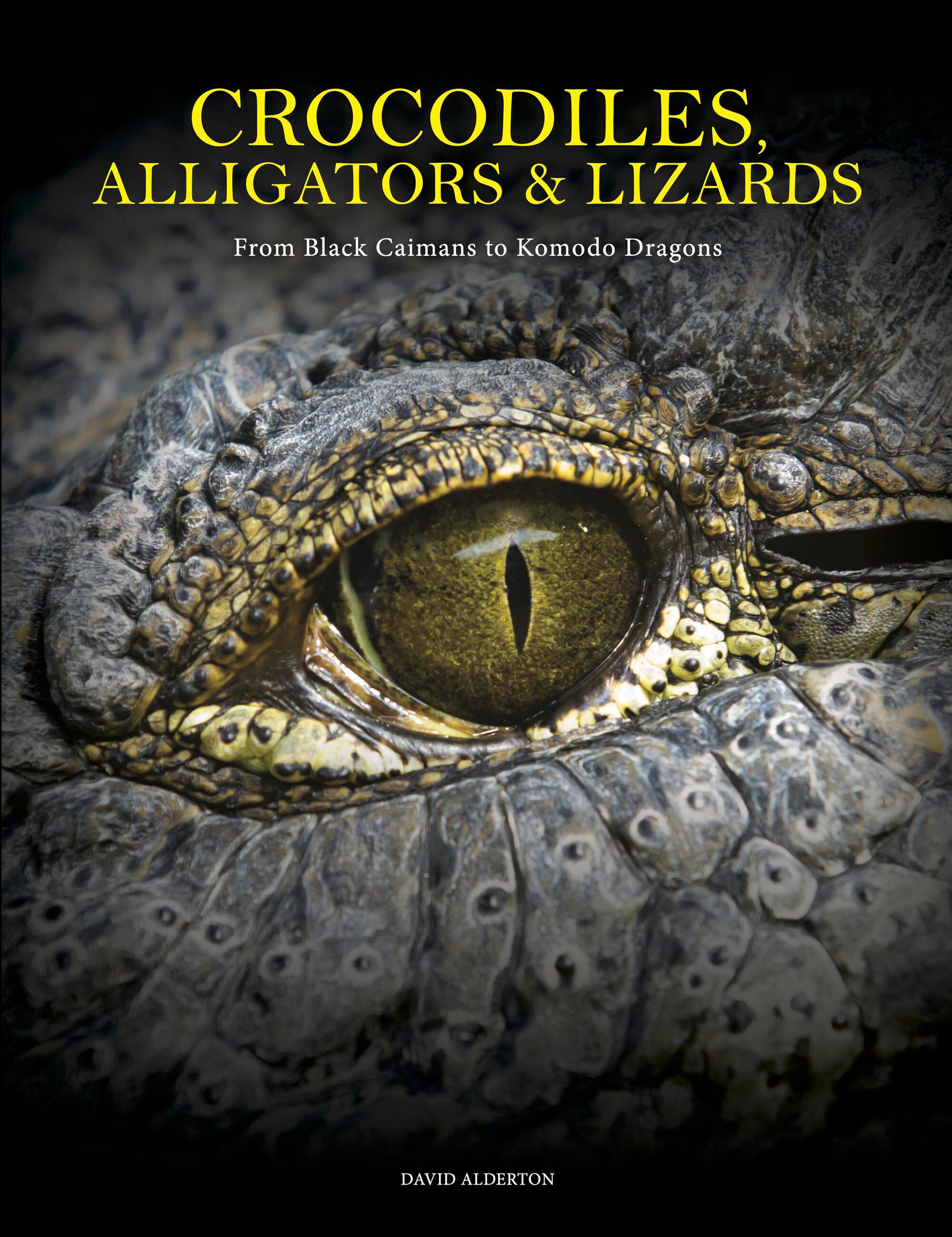 Vorderes Coverbild Crocodiles, Alligators & Lizards