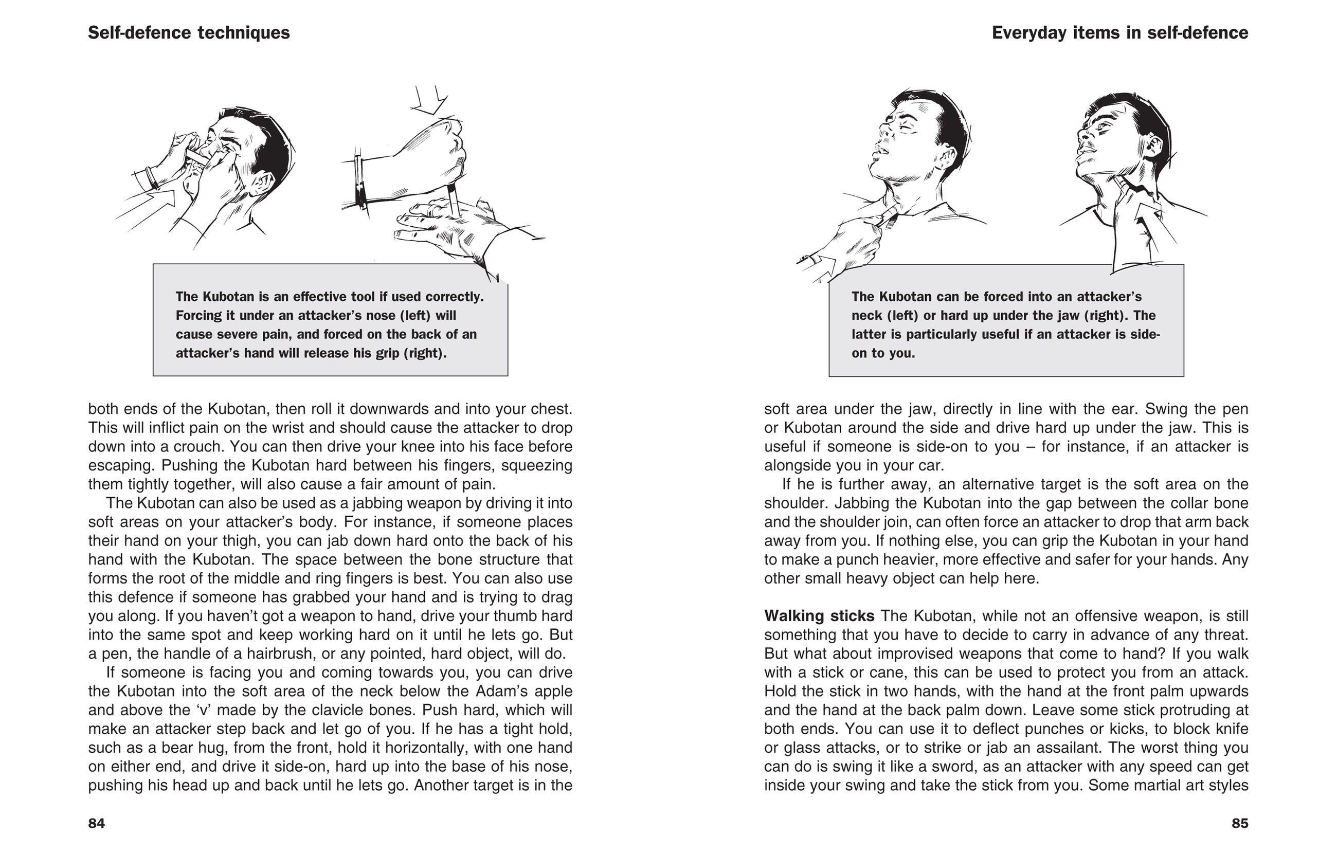 Beispielinhalt (Bild) SAS and Special Forces Self Defence