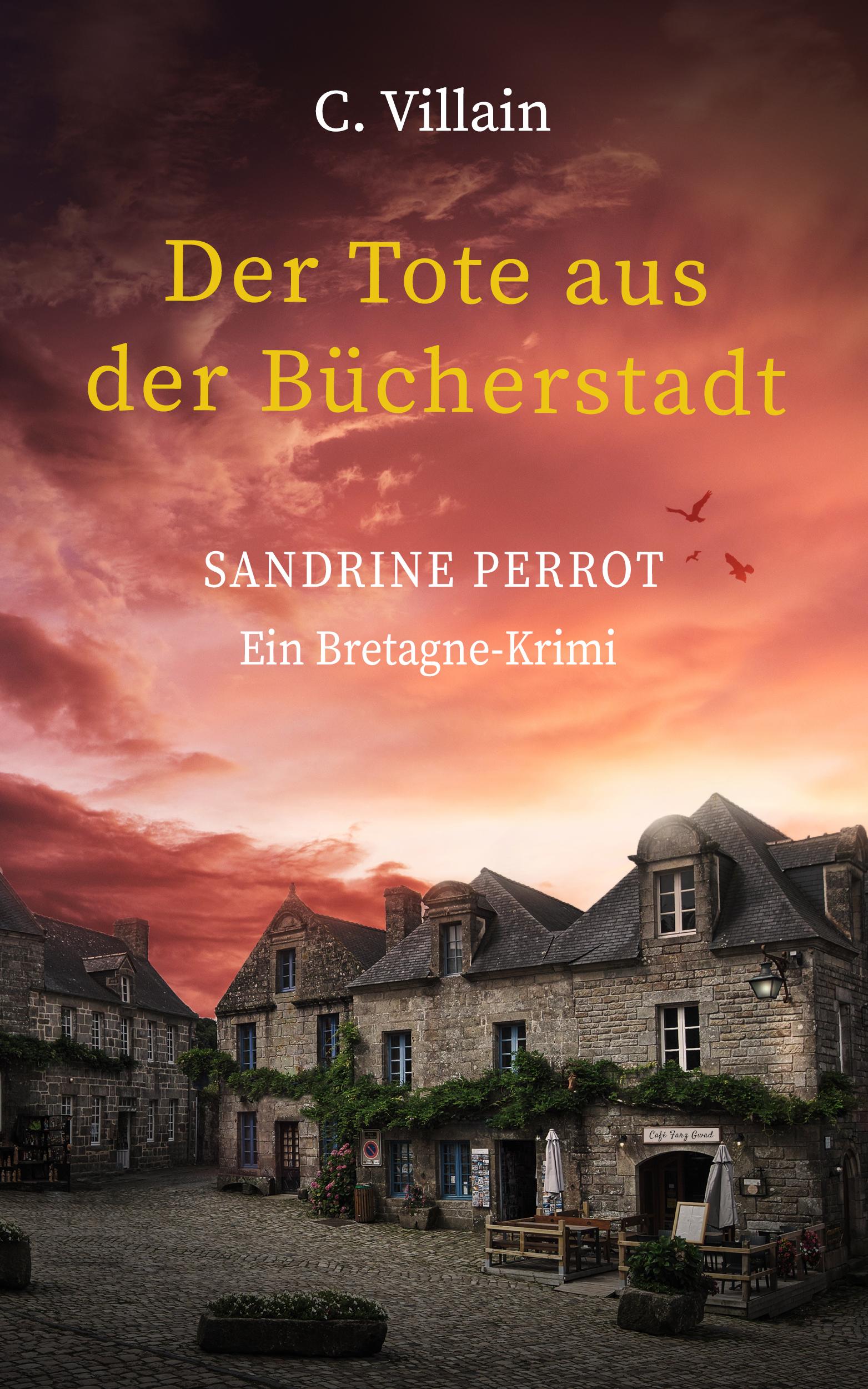 Vorderes Coverbild Sandrine Perrot
