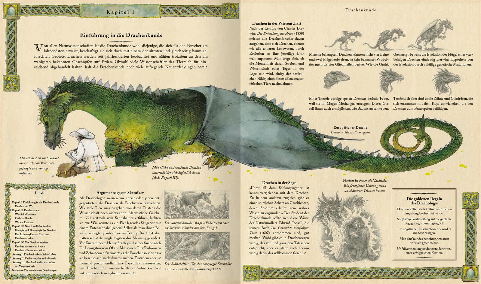Beispielinhalt (Bild) Expedition in die geheime Welt der Drachen