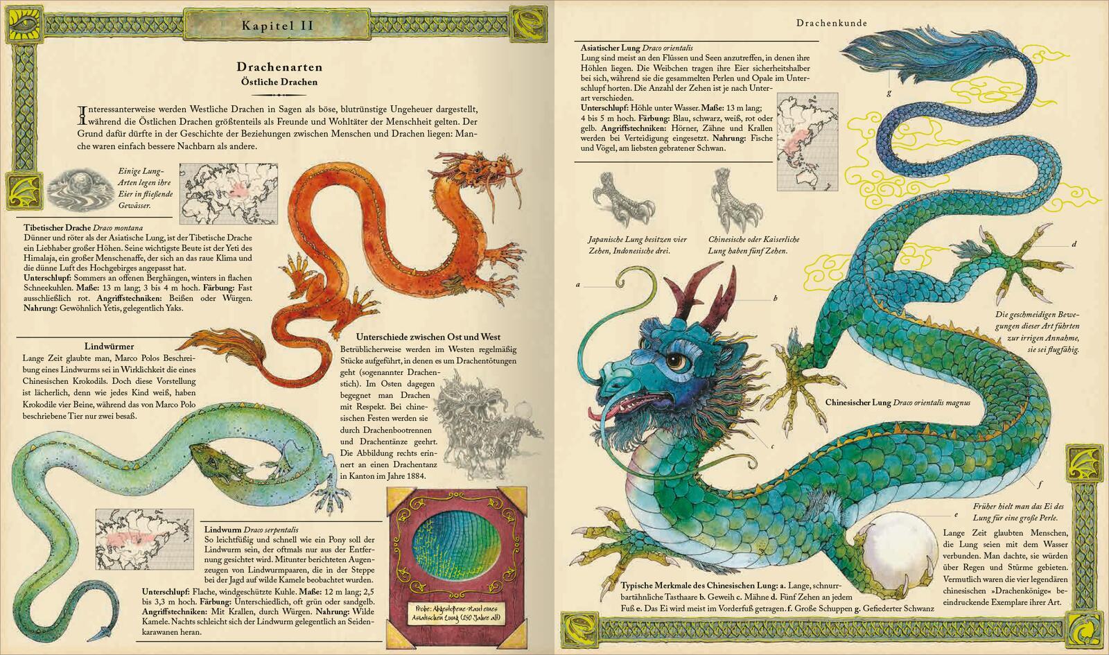 Beispielinhalt (Bild) Expedition in die geheime Welt der Drachen