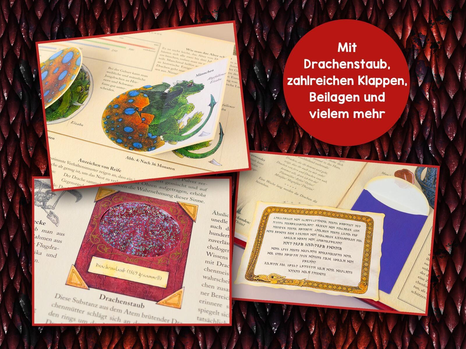 Beispielinhalt (Bild) Expedition in die geheime Welt der Drachen