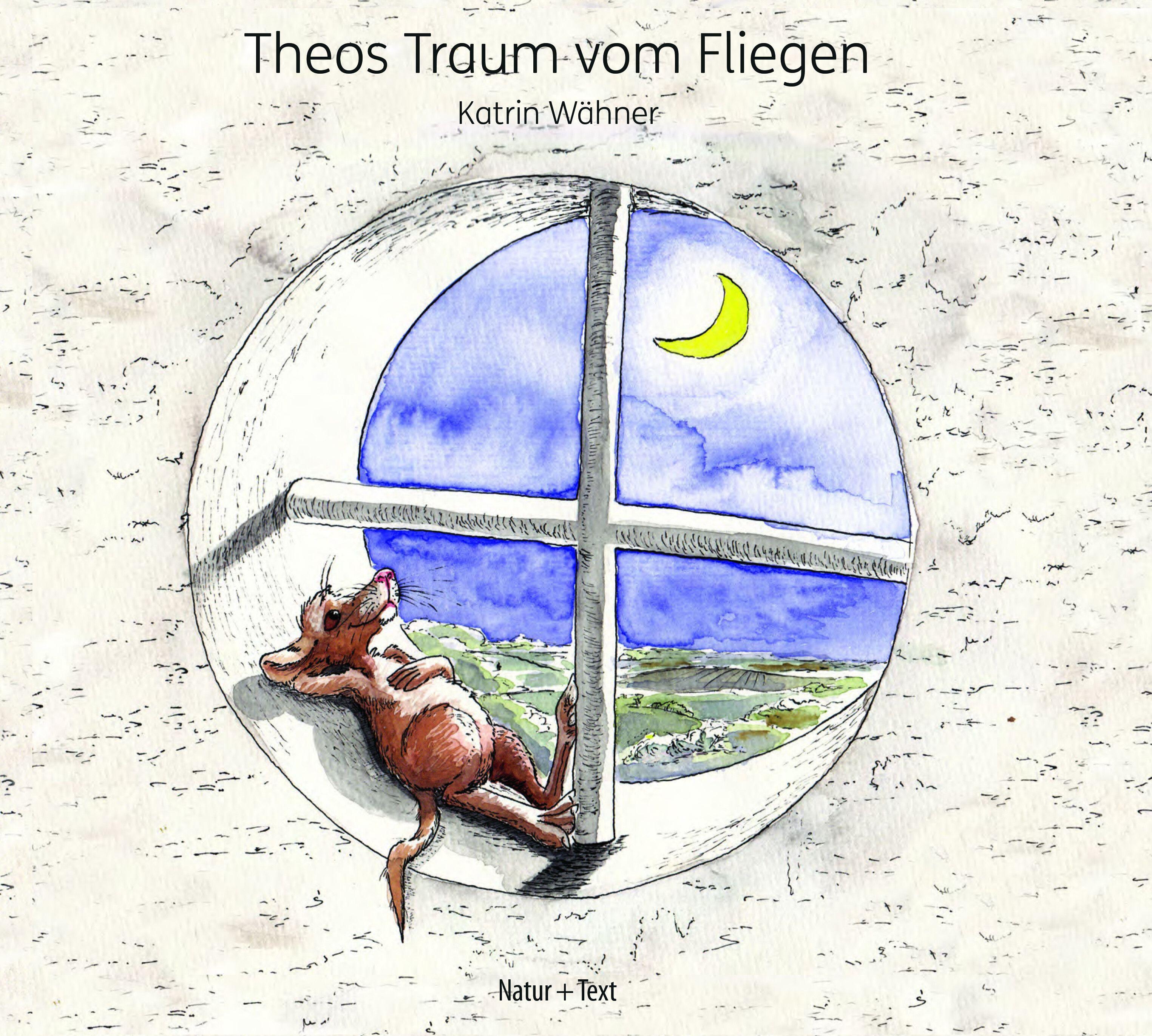 Vorderes Coverbild Theos Traum vom Fliegen