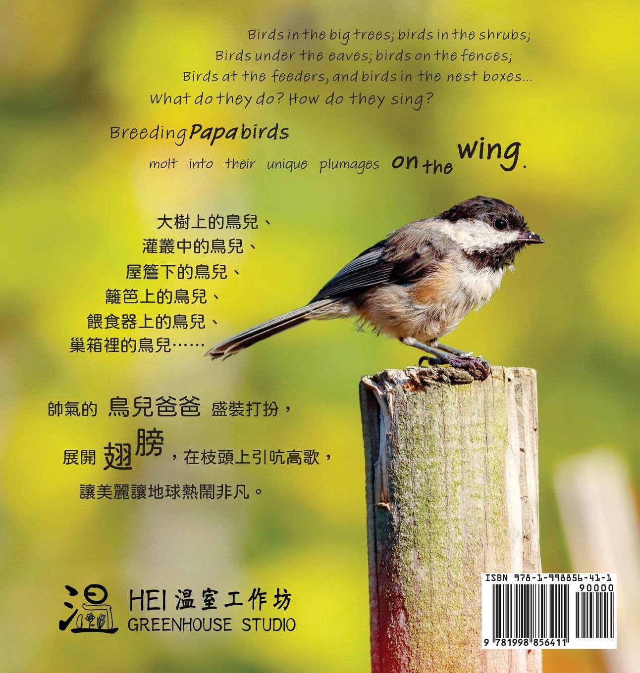 Rückseitencover On the Wing ¿¿ - North American Birds 4