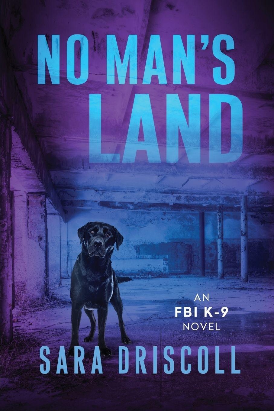 Vorderes Coverbild No Man's Land