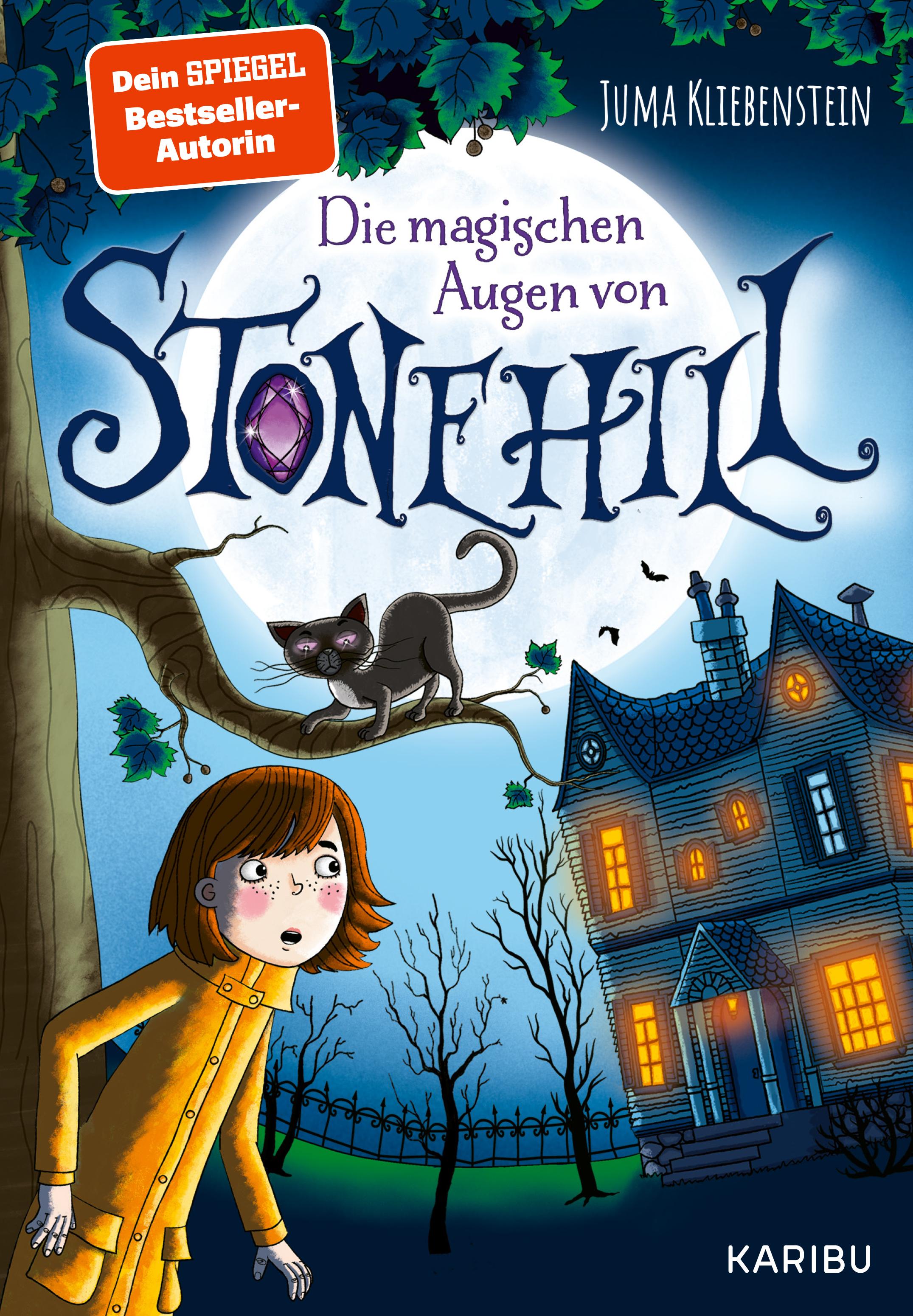 Vorderes Coverbild Die magischen Augen von Stonehill