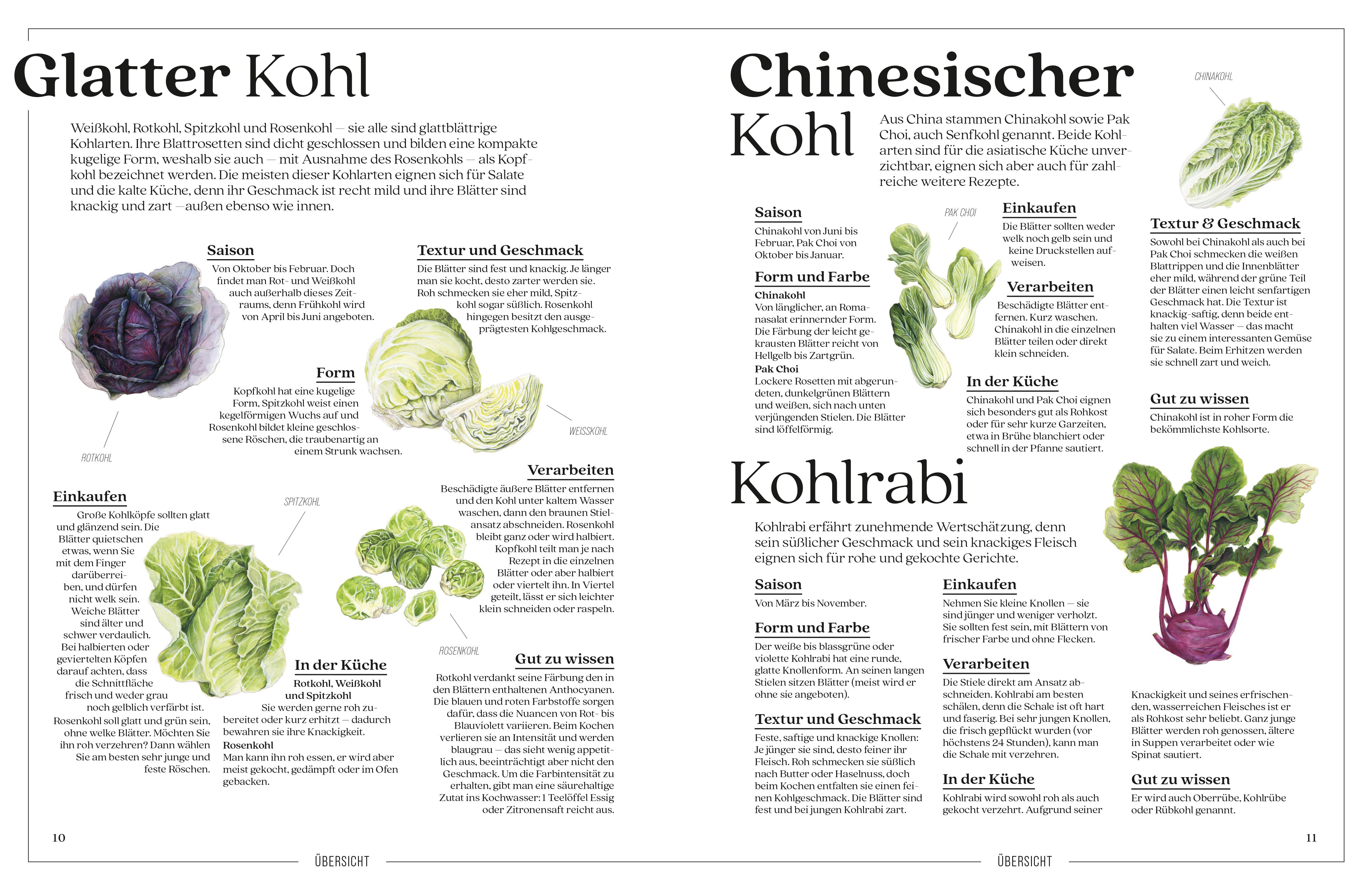 Beispielinhalt (Bild) Alles Kohl!