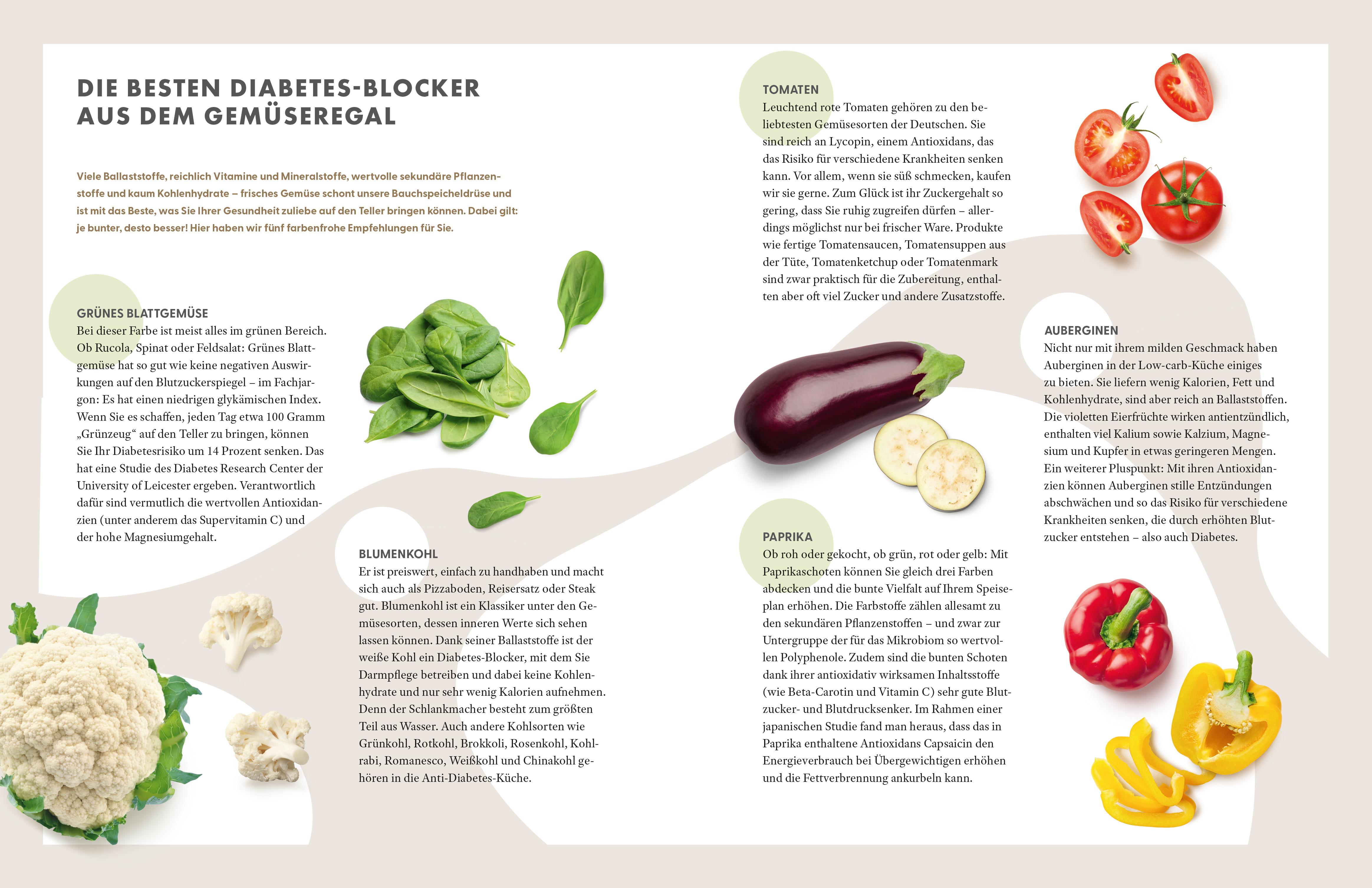 Beispielinhalt (Bild) Die Ernährungs-Docs - Diabetes heilen - Unsere 100 besten Rezepte