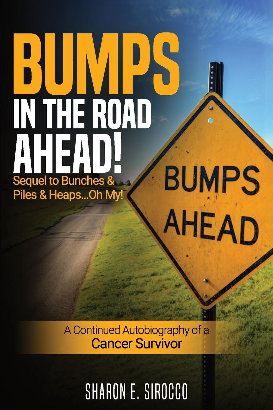 Vorderes Coverbild Bumps in the Road Ahead