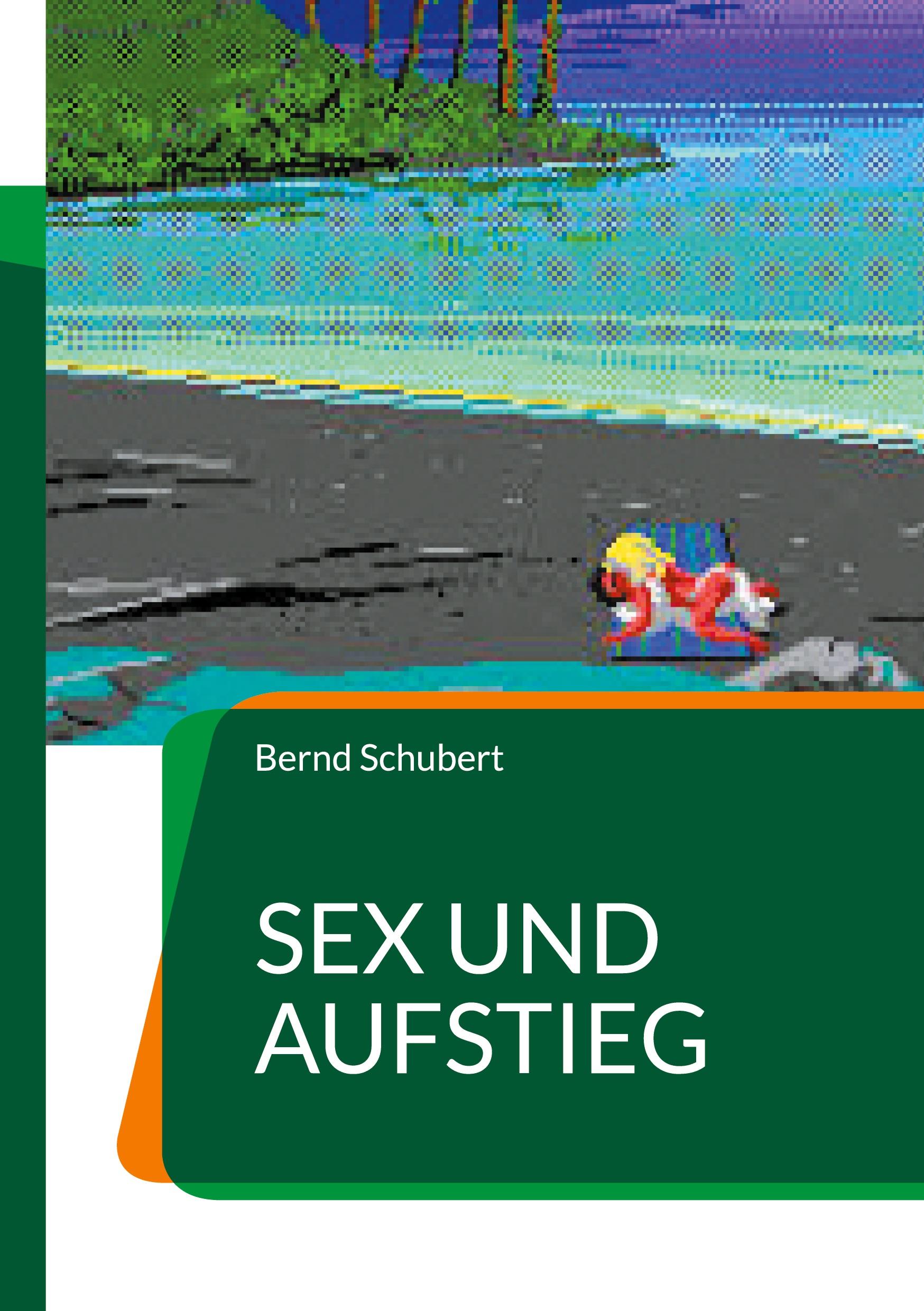 Vorderes Coverbild Sex und Aufstieg