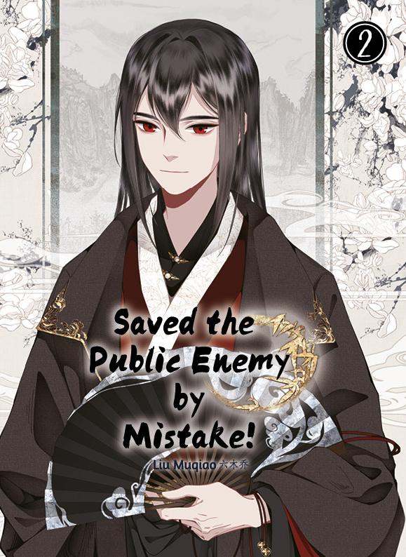 Vorderes Coverbild Saved the Public Enemy by Mistake