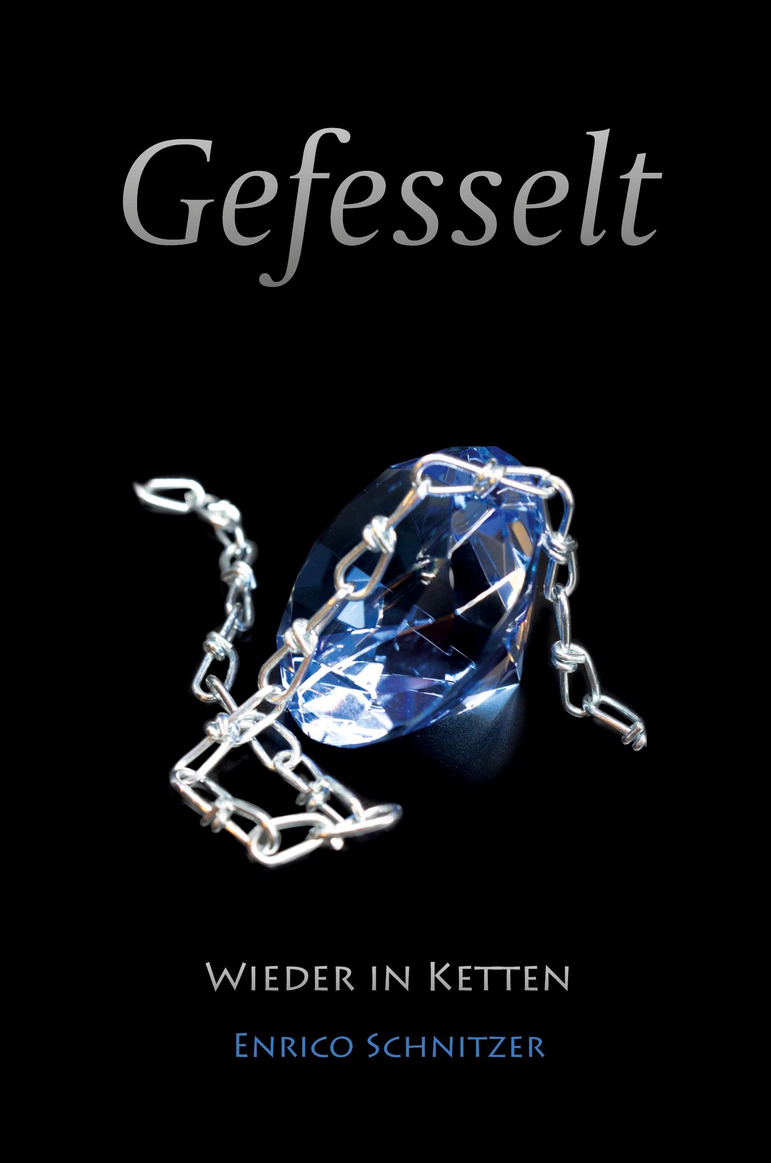 Vorderes Coverbild Wieder in Ketten