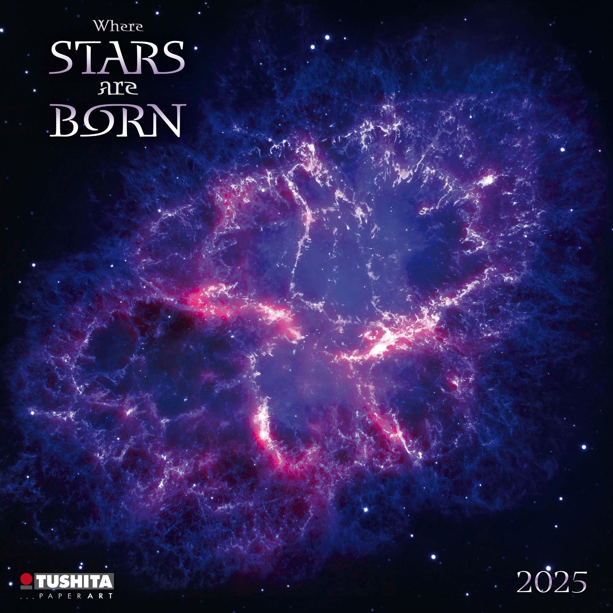 Vorderes Coverbild Where Stars are Born 2025