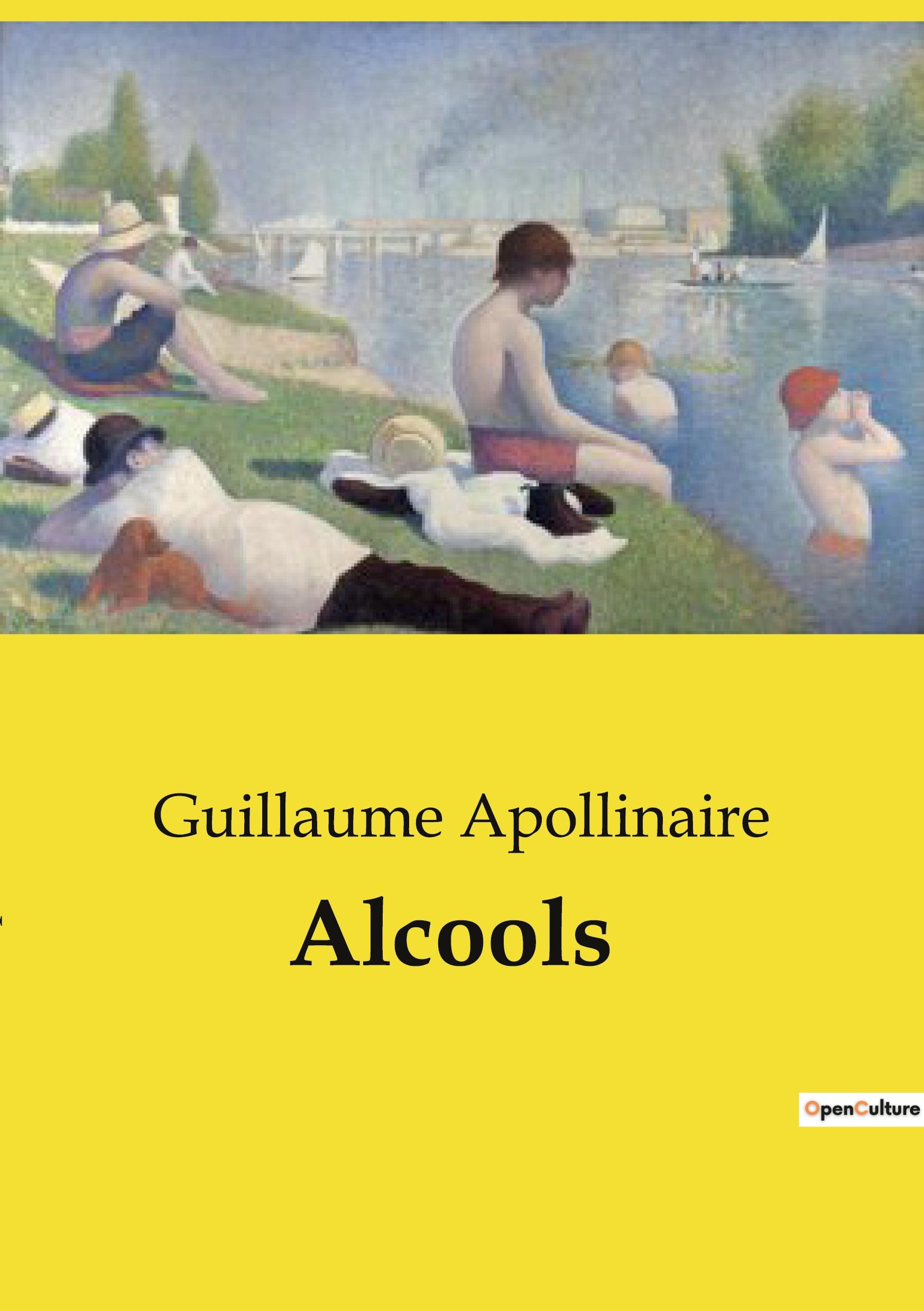 Vorderes Coverbild Alcools