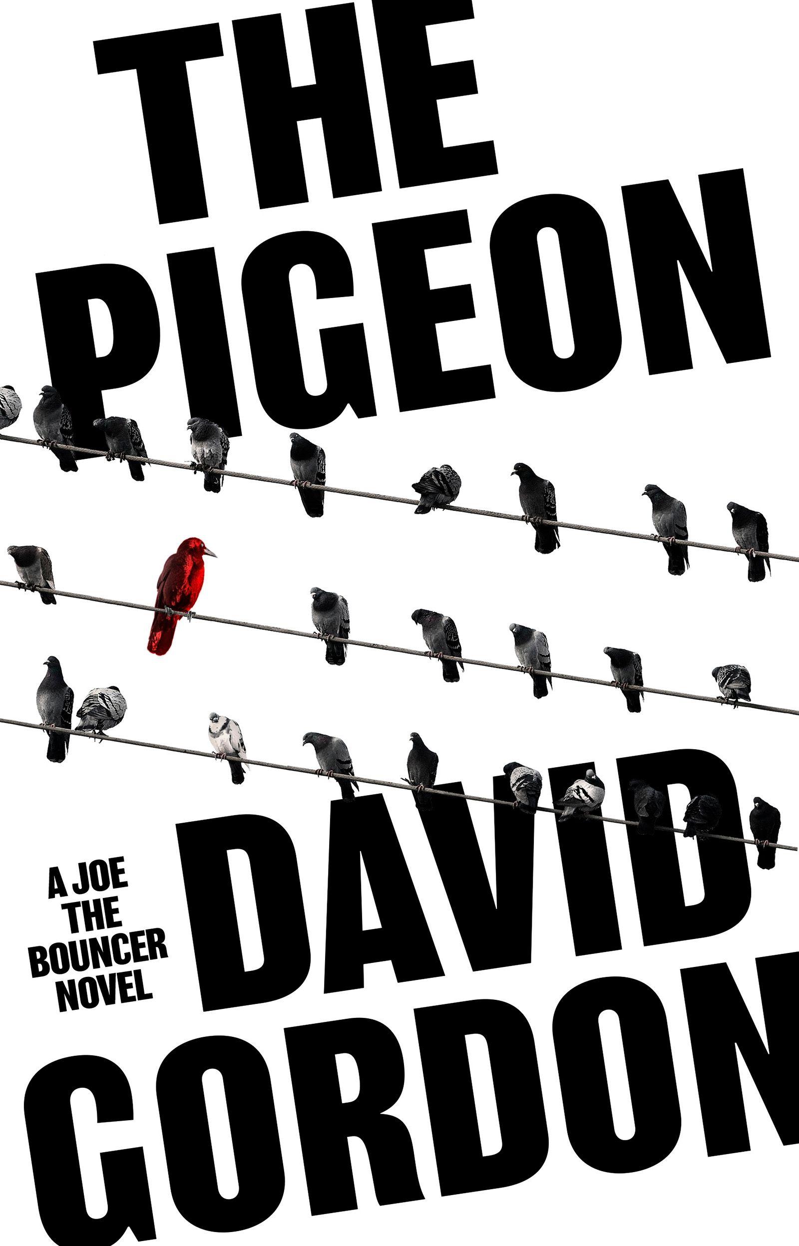 Vorderes Coverbild The Pigeon
