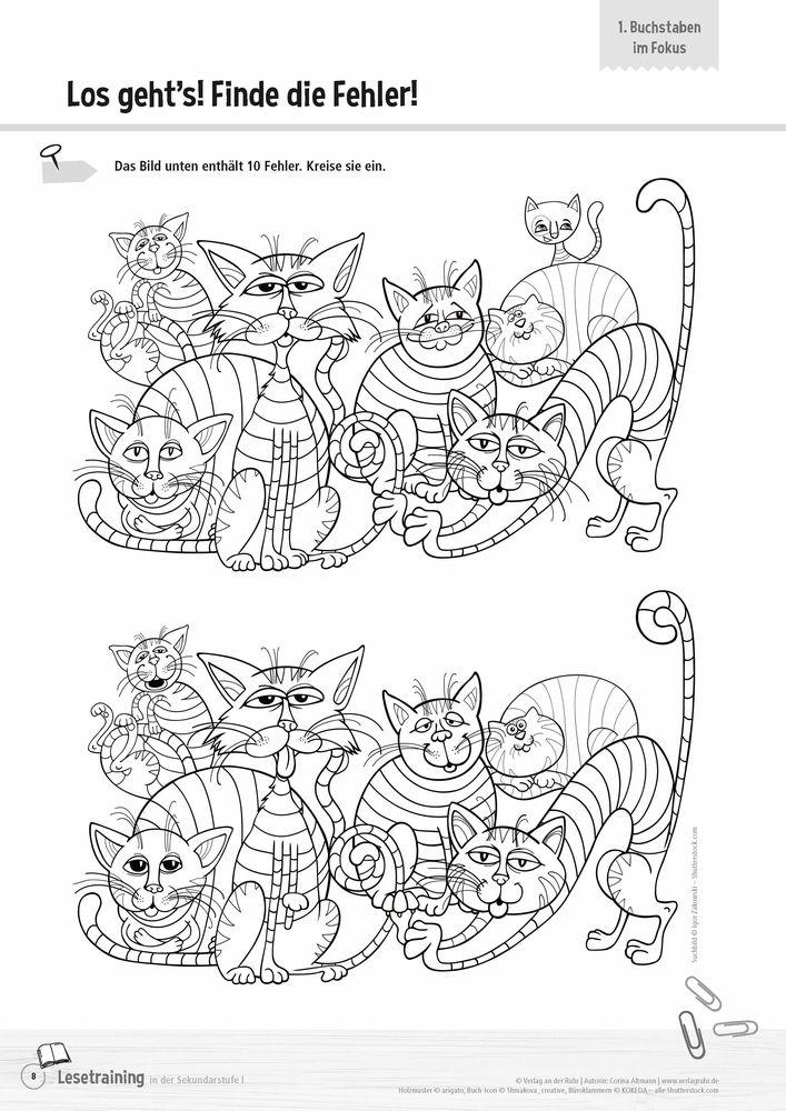 Beispielinhalt (Bild) Lesetraining in der Sekundarstufe I