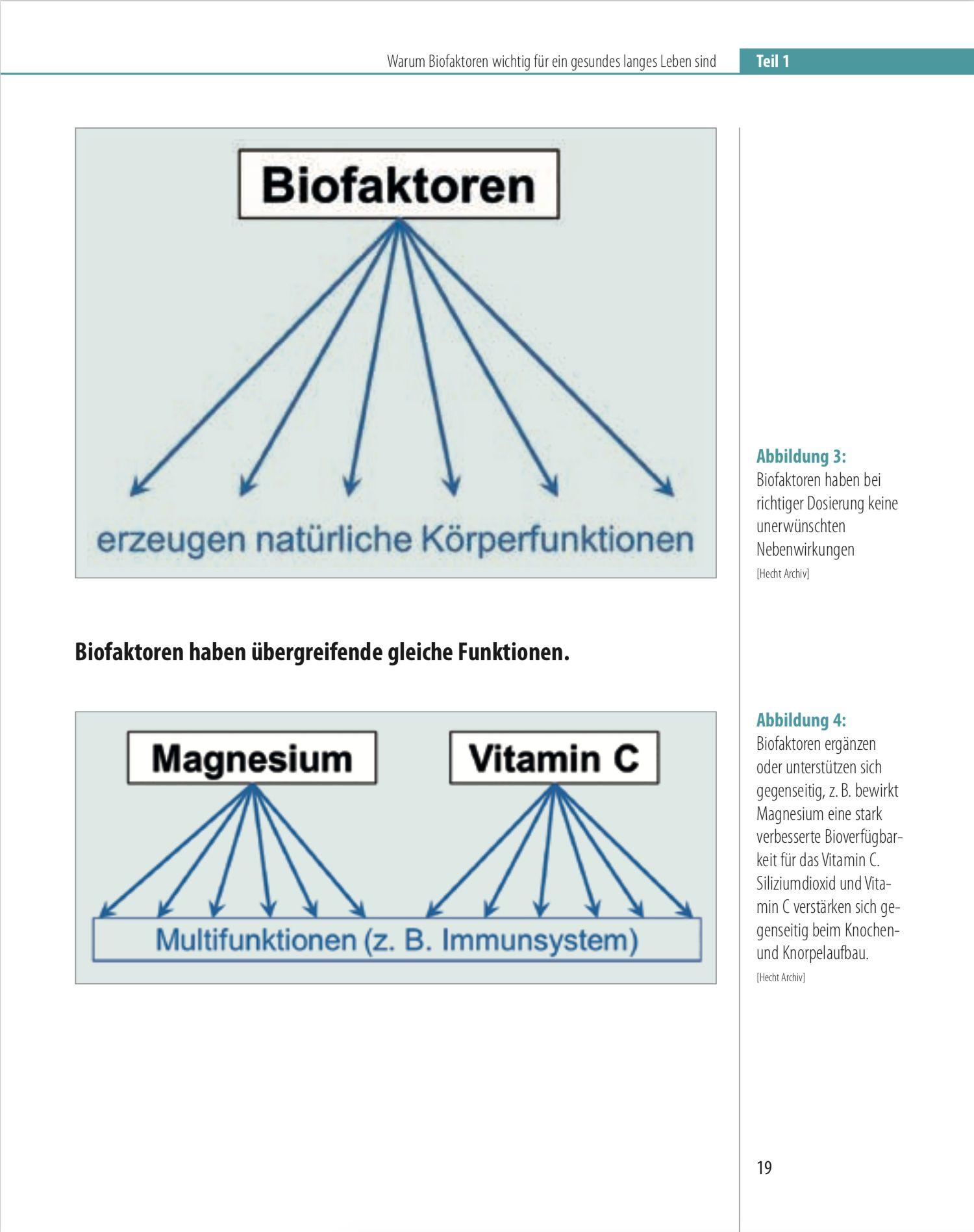 Beispielinhalt (Bild) Biofaktoren für gesundes Altern