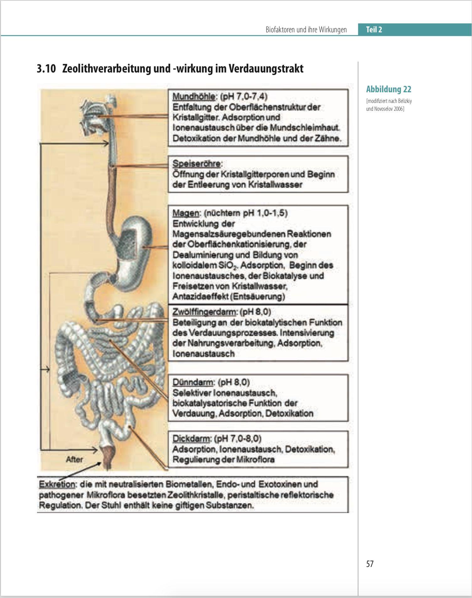 Beispielinhalt (Bild) Biofaktoren für gesundes Altern