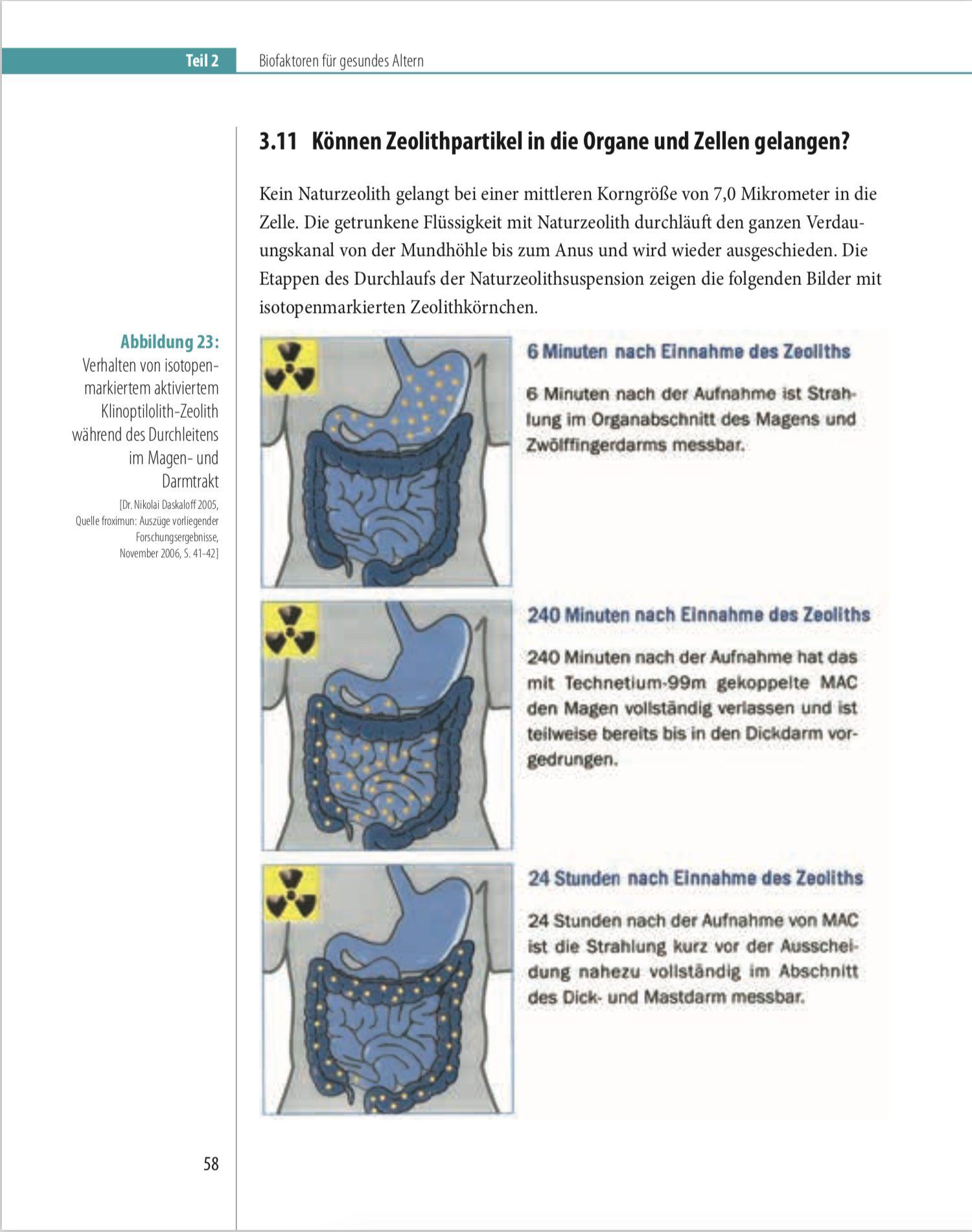 Beispielinhalt (Bild) Biofaktoren für gesundes Altern