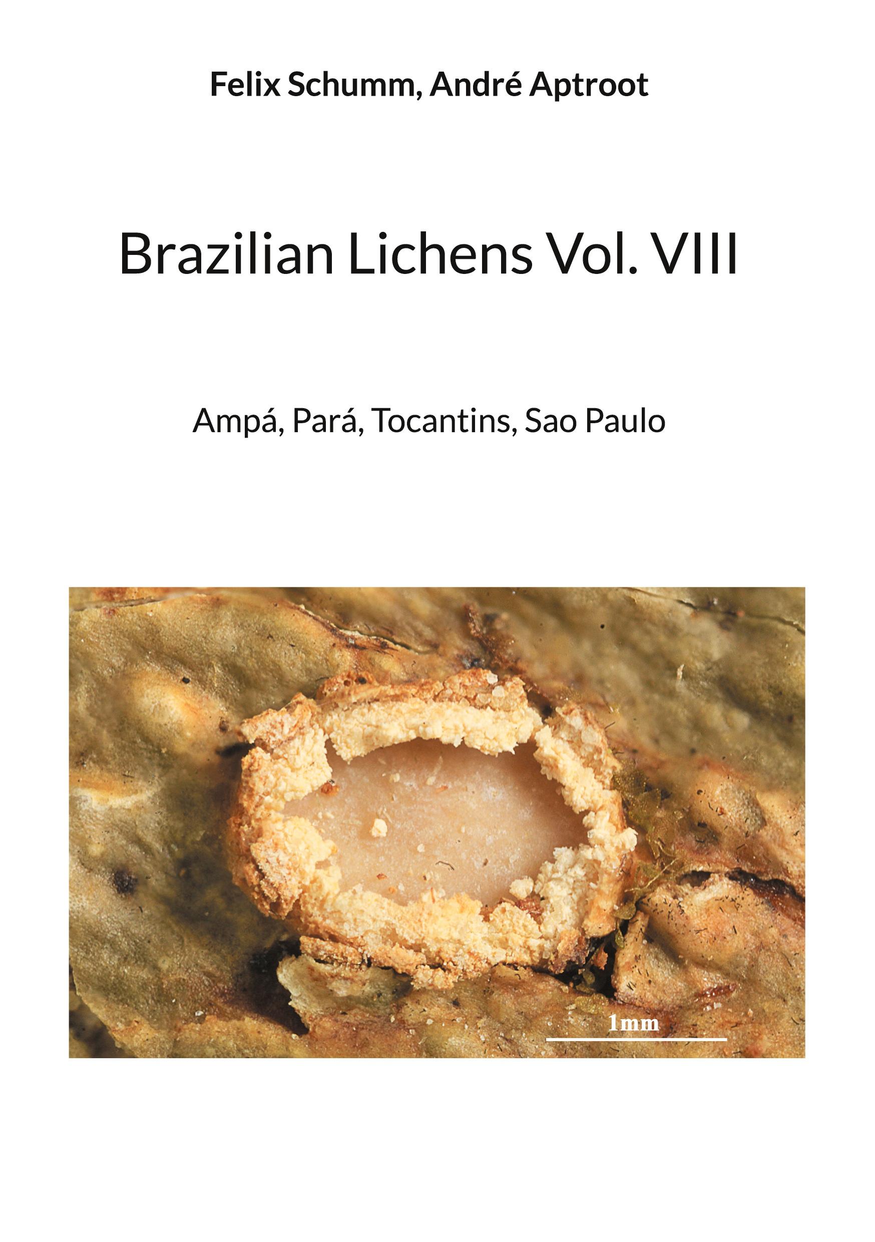 Vorderes Coverbild Brazilian Lichens Vol. VIII
