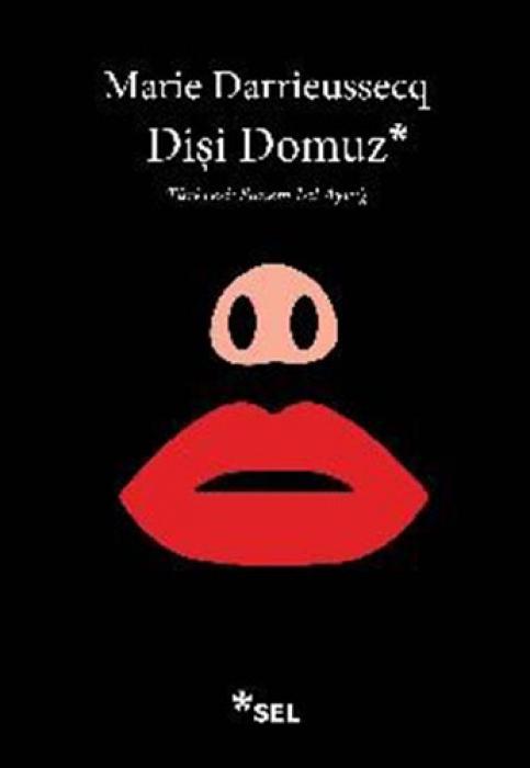 Vorderes Coverbild Disi Domuz