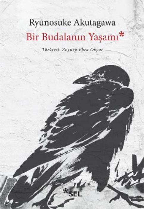 Vorderes Coverbild Bir Budalanin Yasami