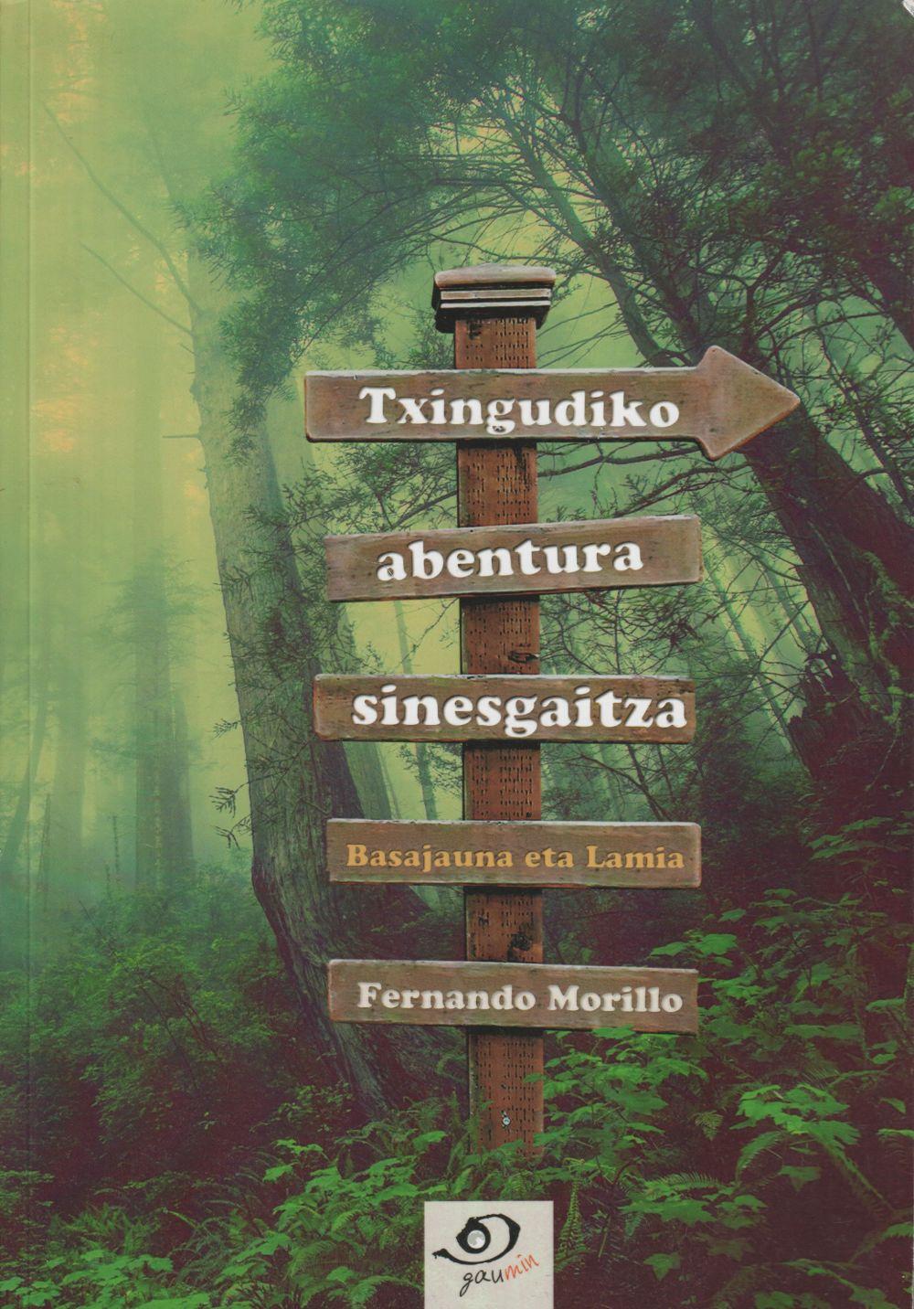Vorderes Coverbild Txingudiko abentura sinesgaitza : Basajauna eta Lamia