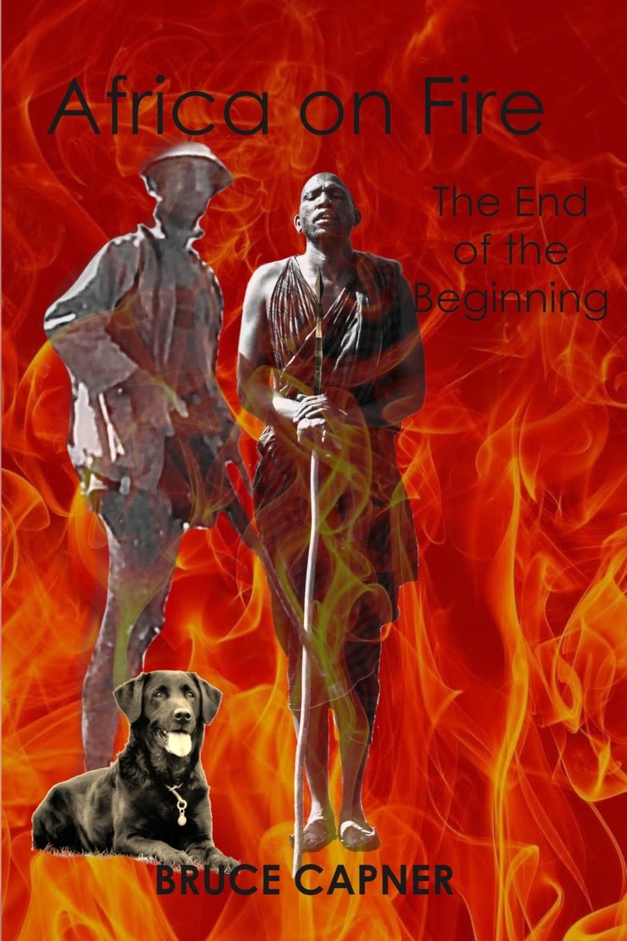 Vorderes Coverbild Africa on Fire