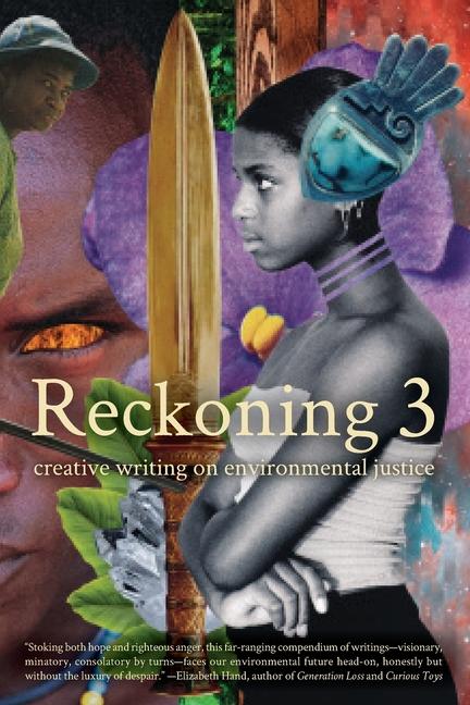 Vorderes Coverbild Reckoning 3