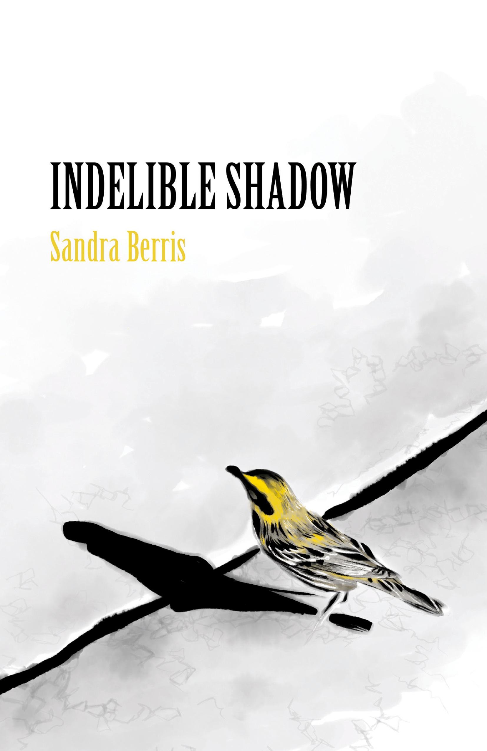 Vorderes Coverbild Indelible Shadow