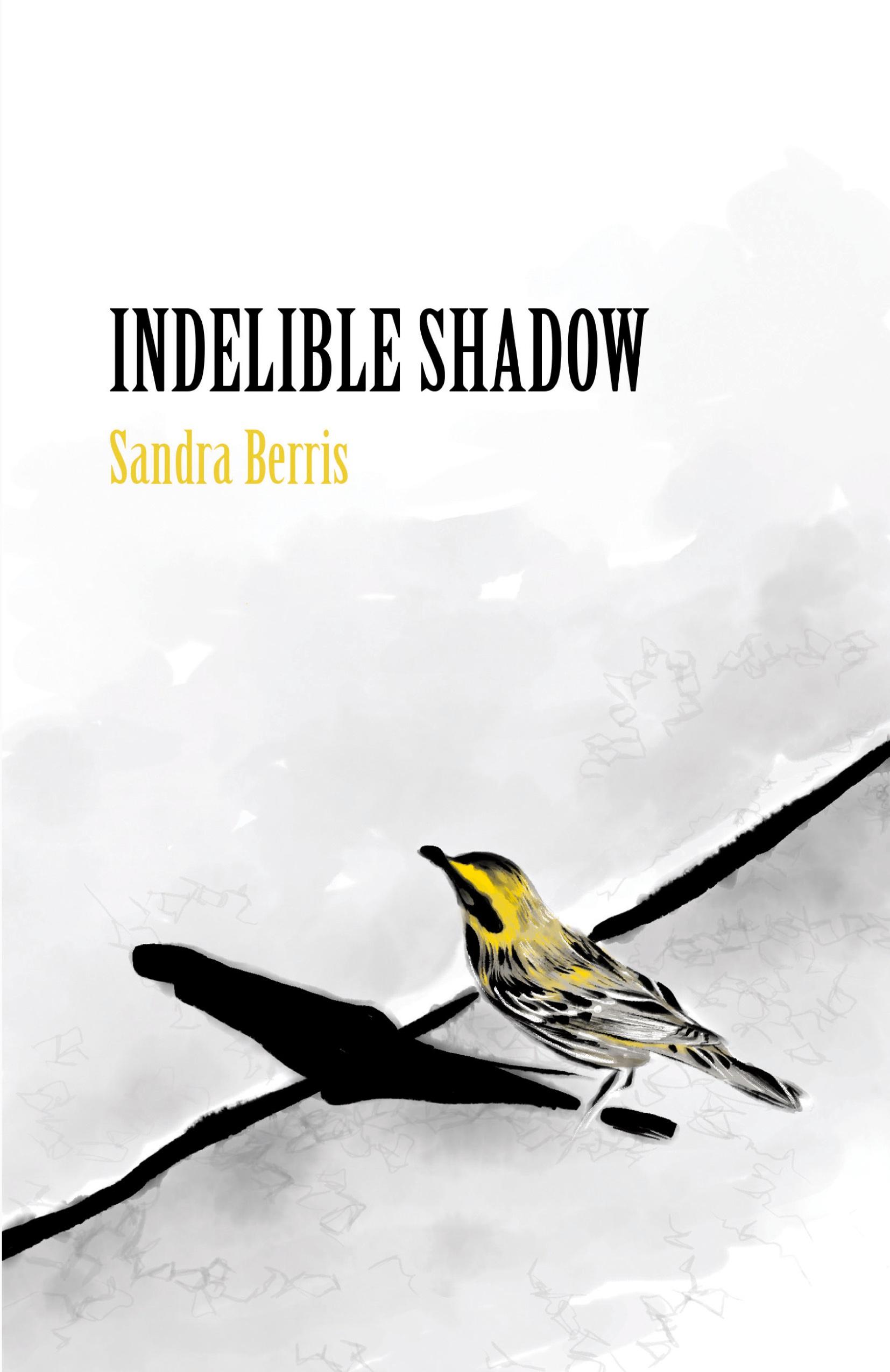 Vorderes Coverbild Indelible Shadow