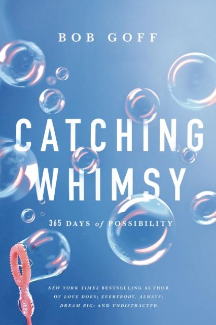 Vorderes Coverbild Catching Whimsy