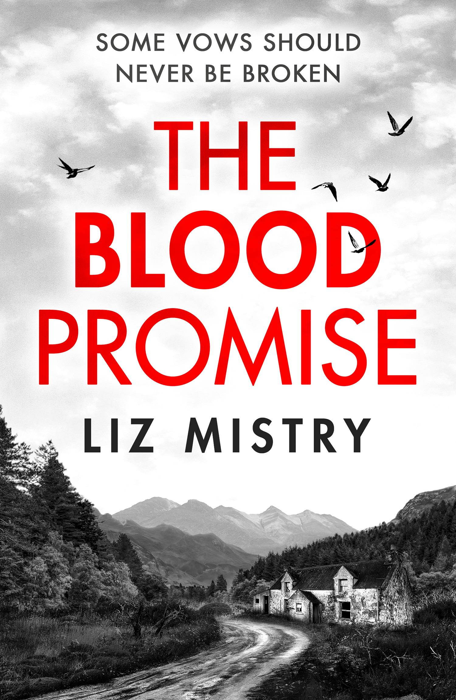 Vorderes Coverbild The Blood Promise