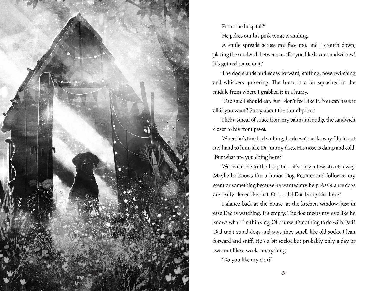 Beispielinhalt (Bild) My Dog