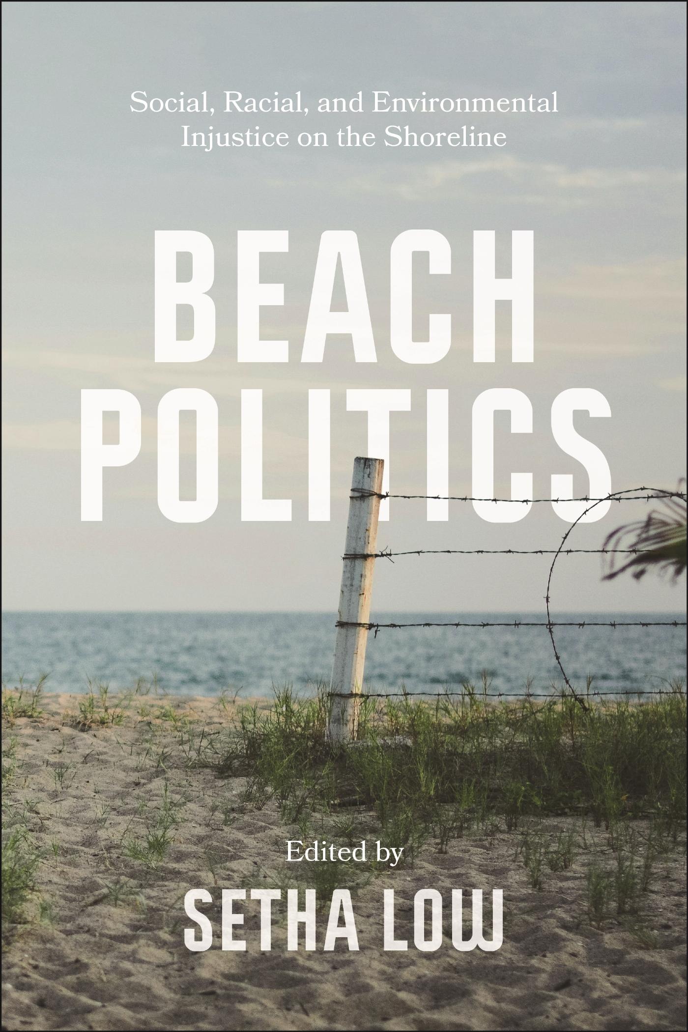 Vorderes Coverbild Beach Politics